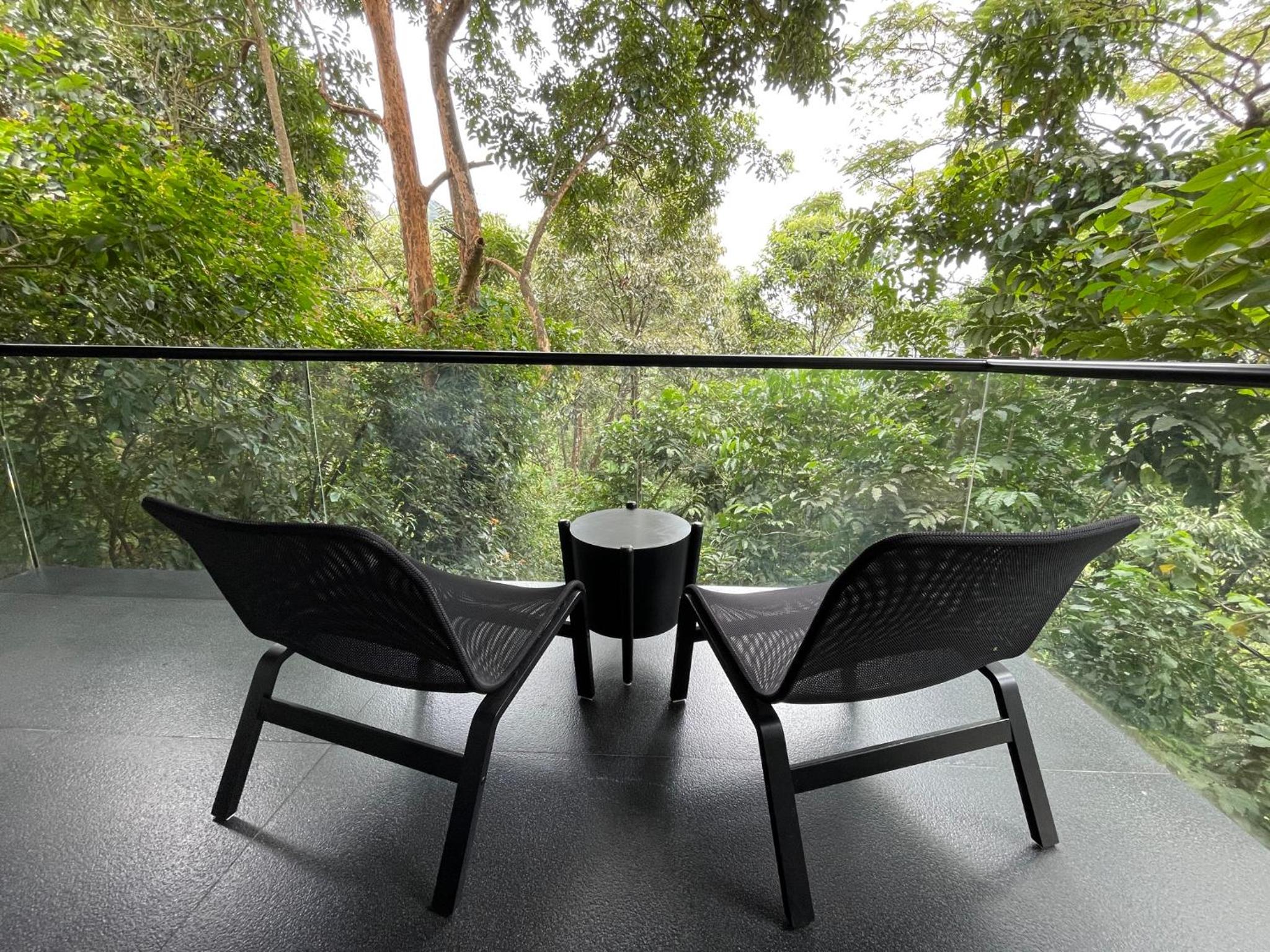 Forest & Valley View with Balcony - Photo 4