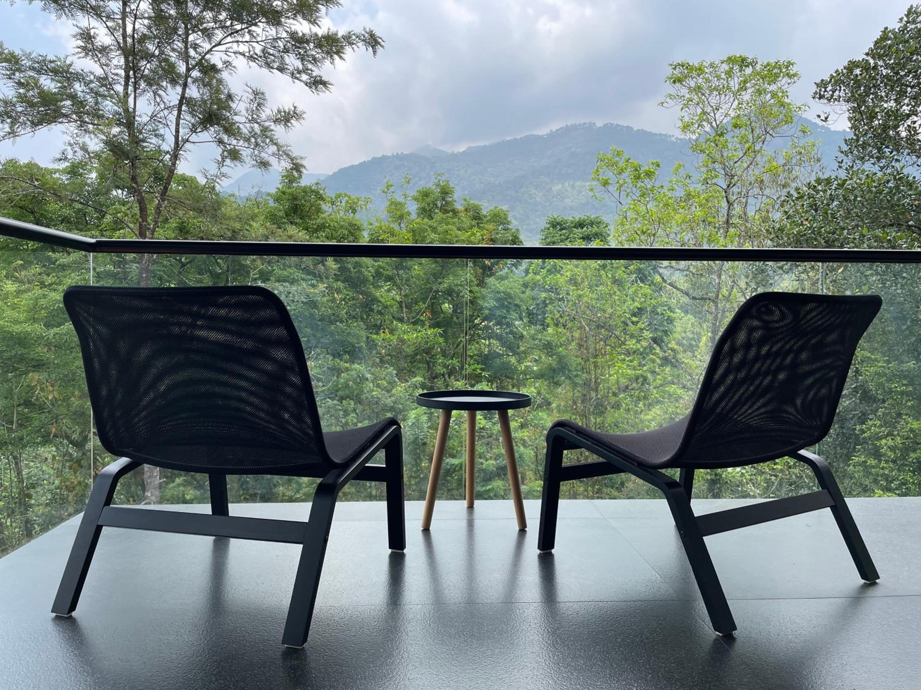 Tea Garden & Mountain View with Balcony - Photo 4