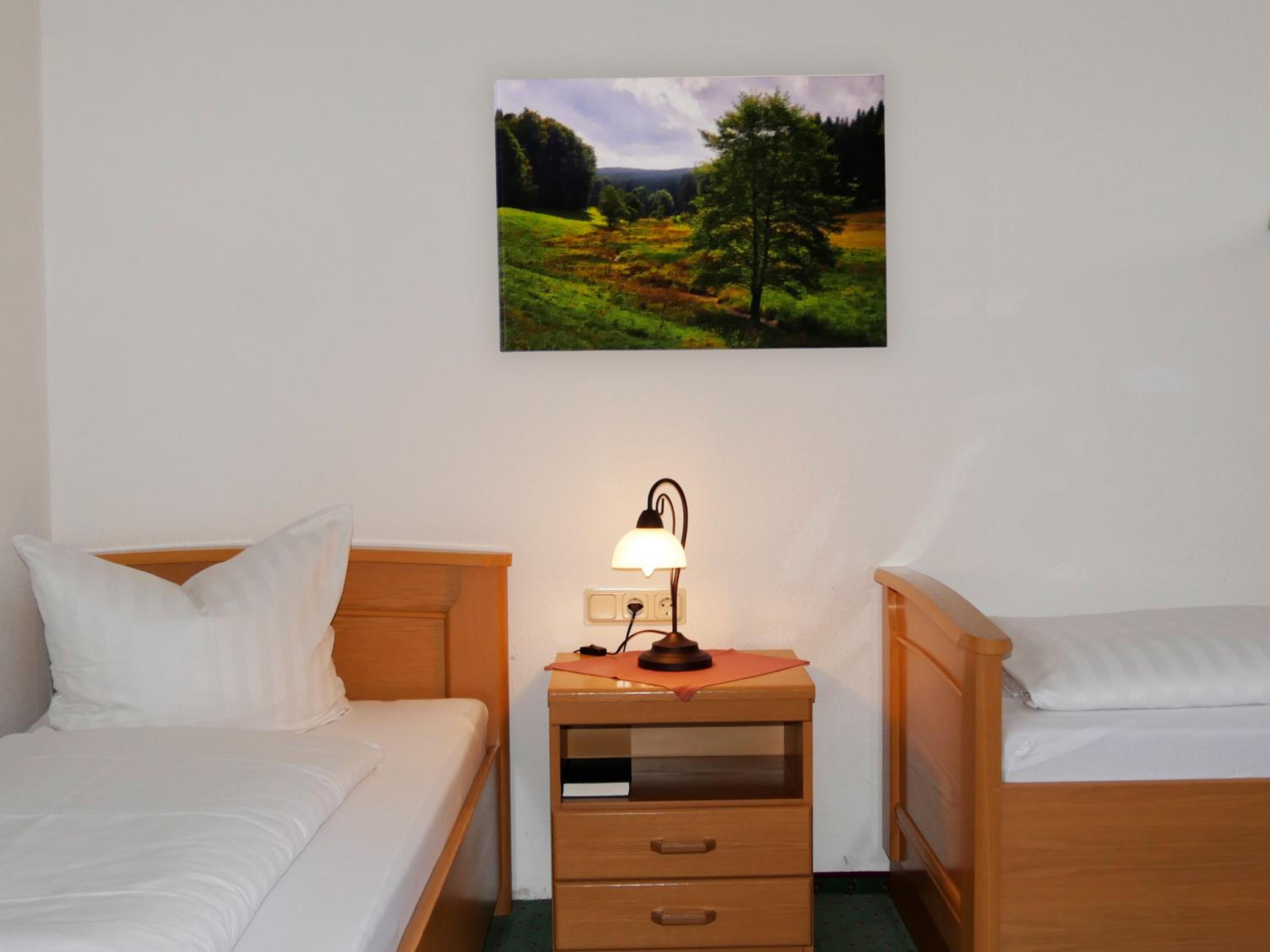 Twin Room - Disability Access - Photo 5