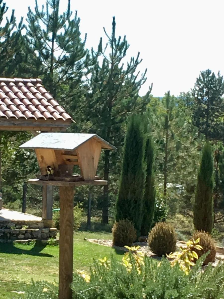 Double Room with Garden View photo 1