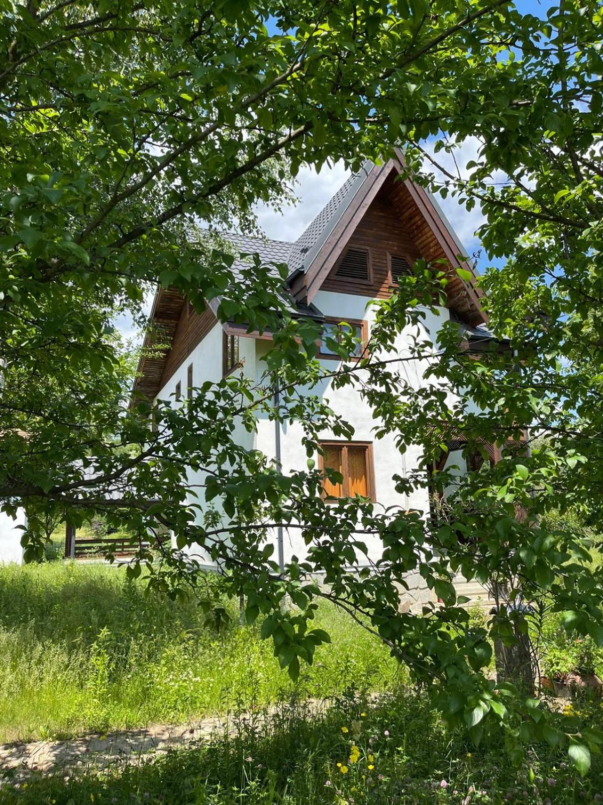 Four-Bedroom House - Photo 13