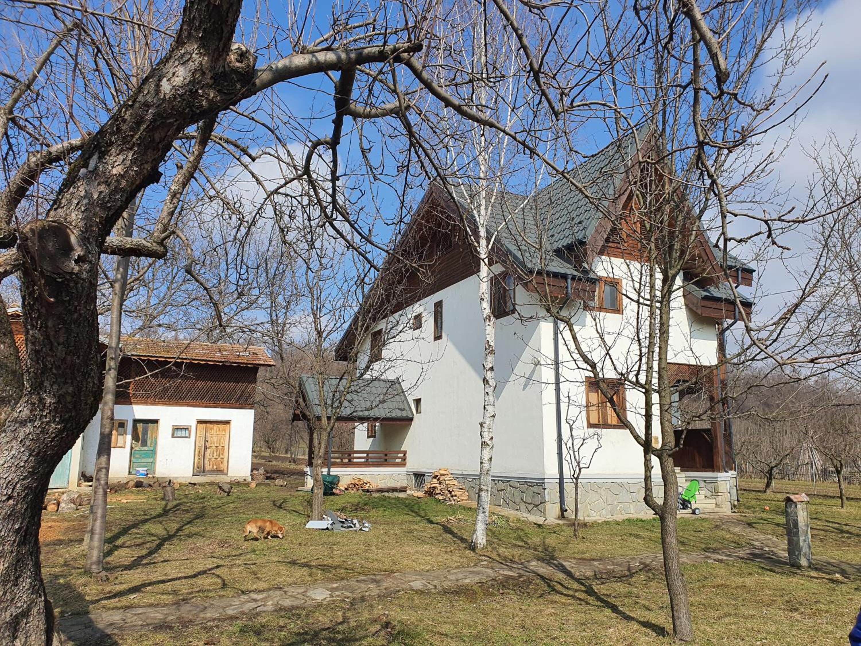 Four-Bedroom House - Photo 32