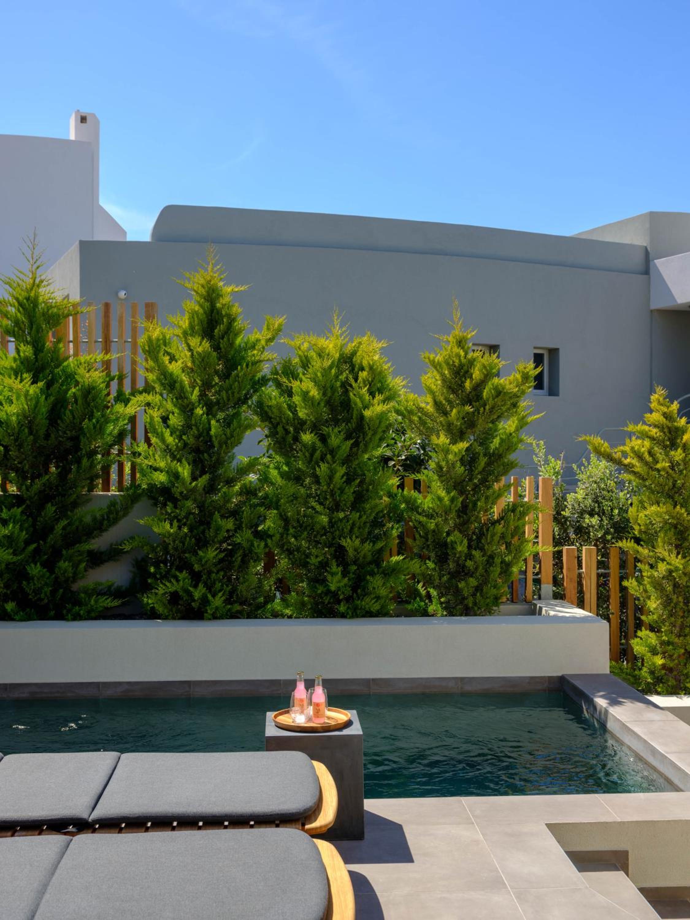 Premier Suite with Private Pool - Photo 2