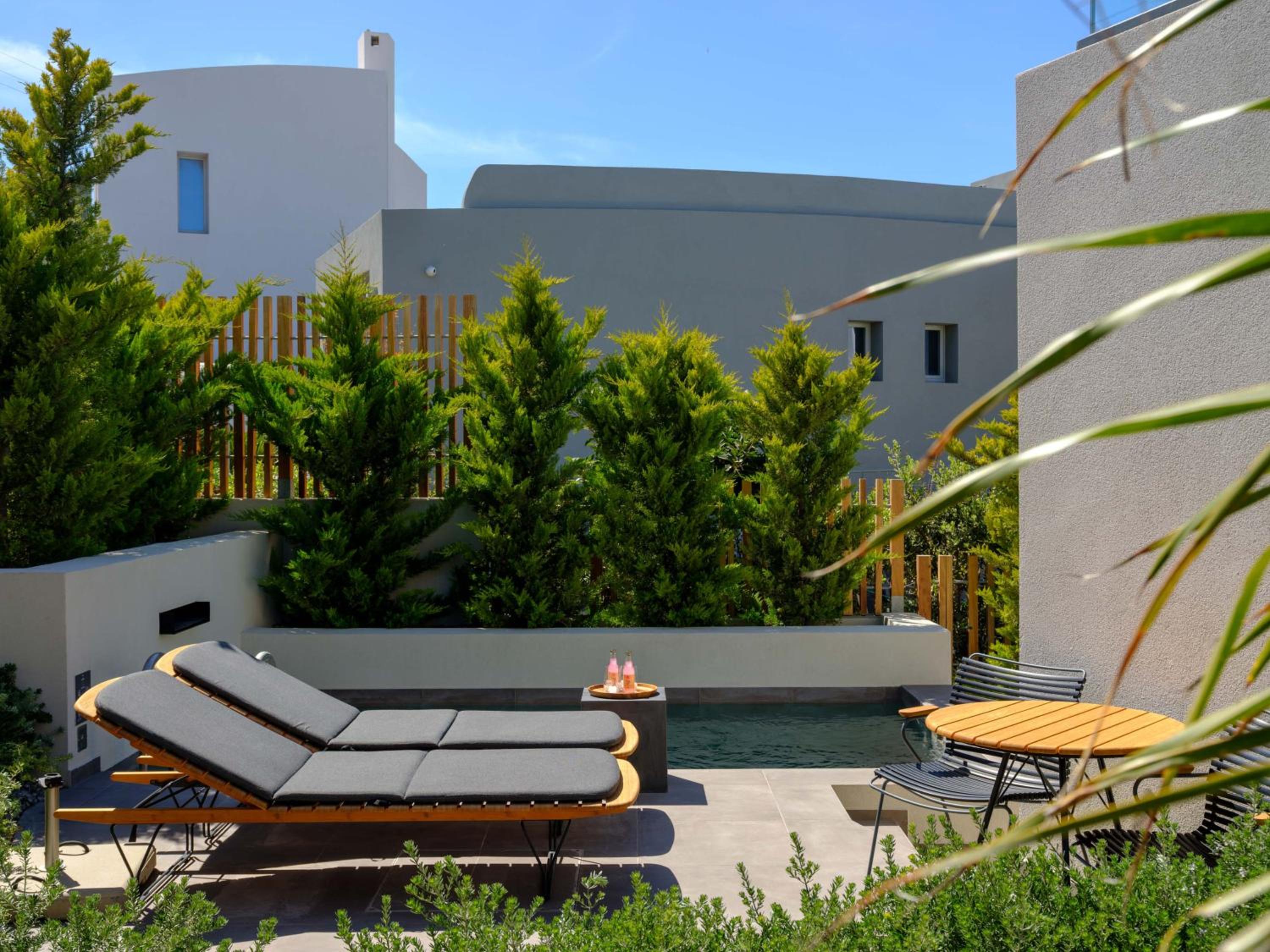 Premier Suite with Private Pool - Photo 7