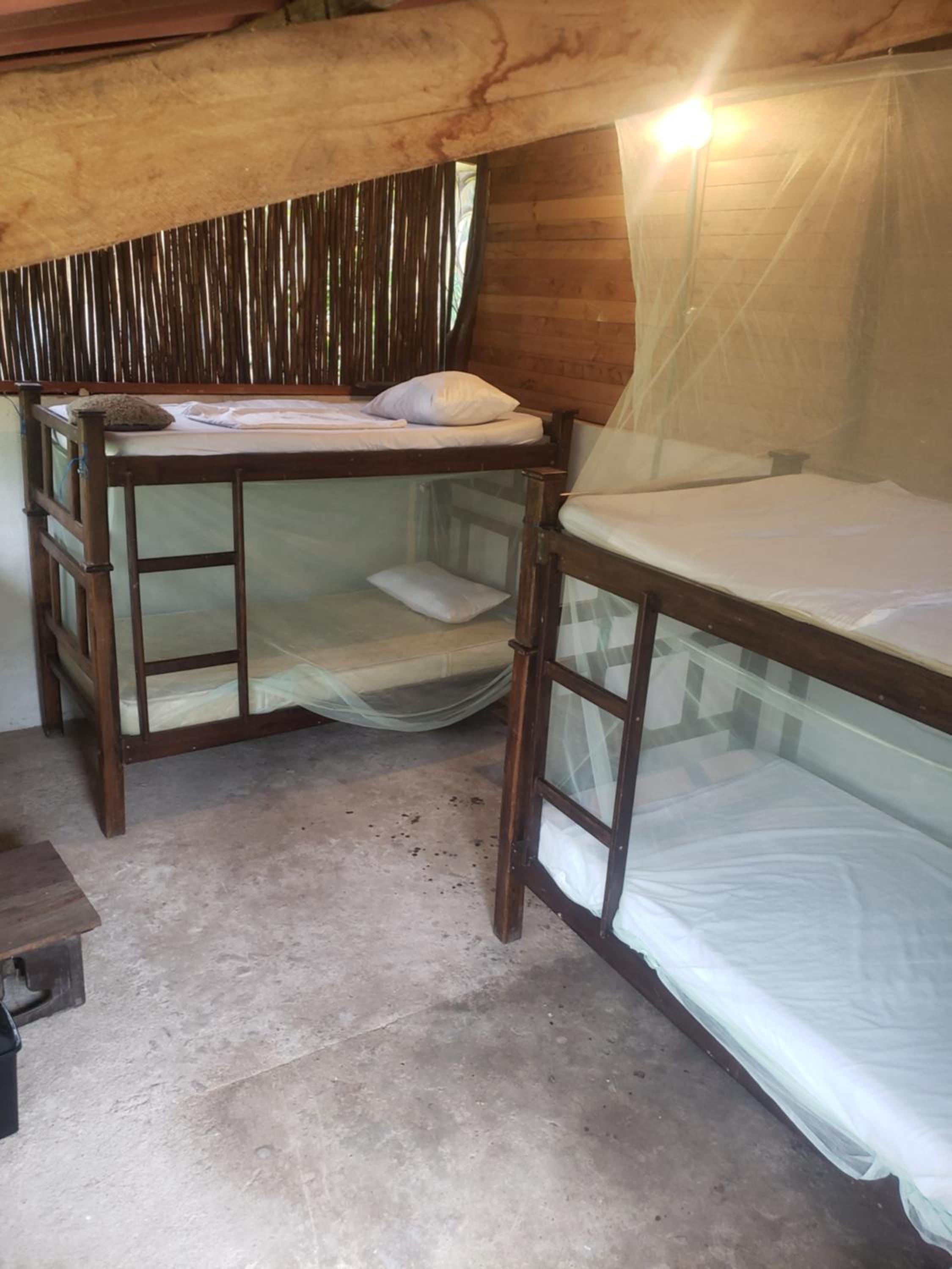 Bed in 4-Bed Dormitory Room photo 2