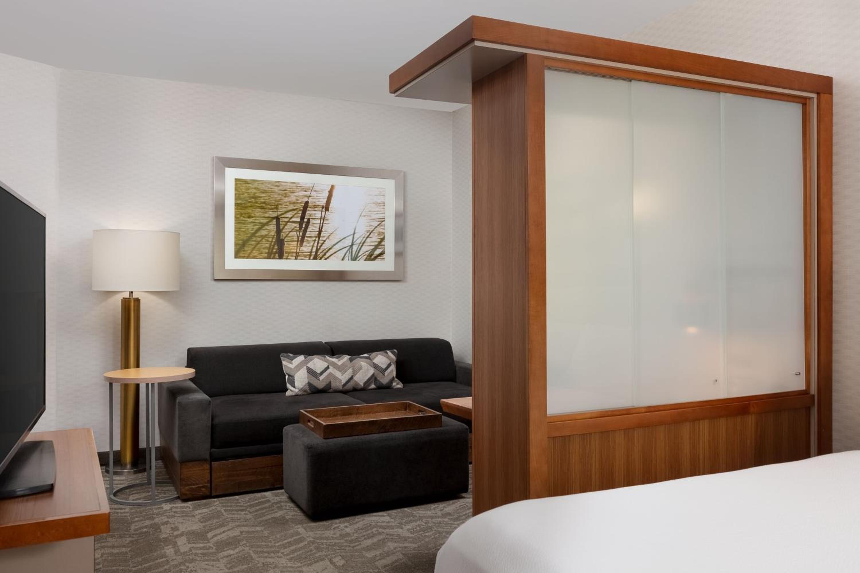 King Suite with Trundle Sofa - Hearing Accessible