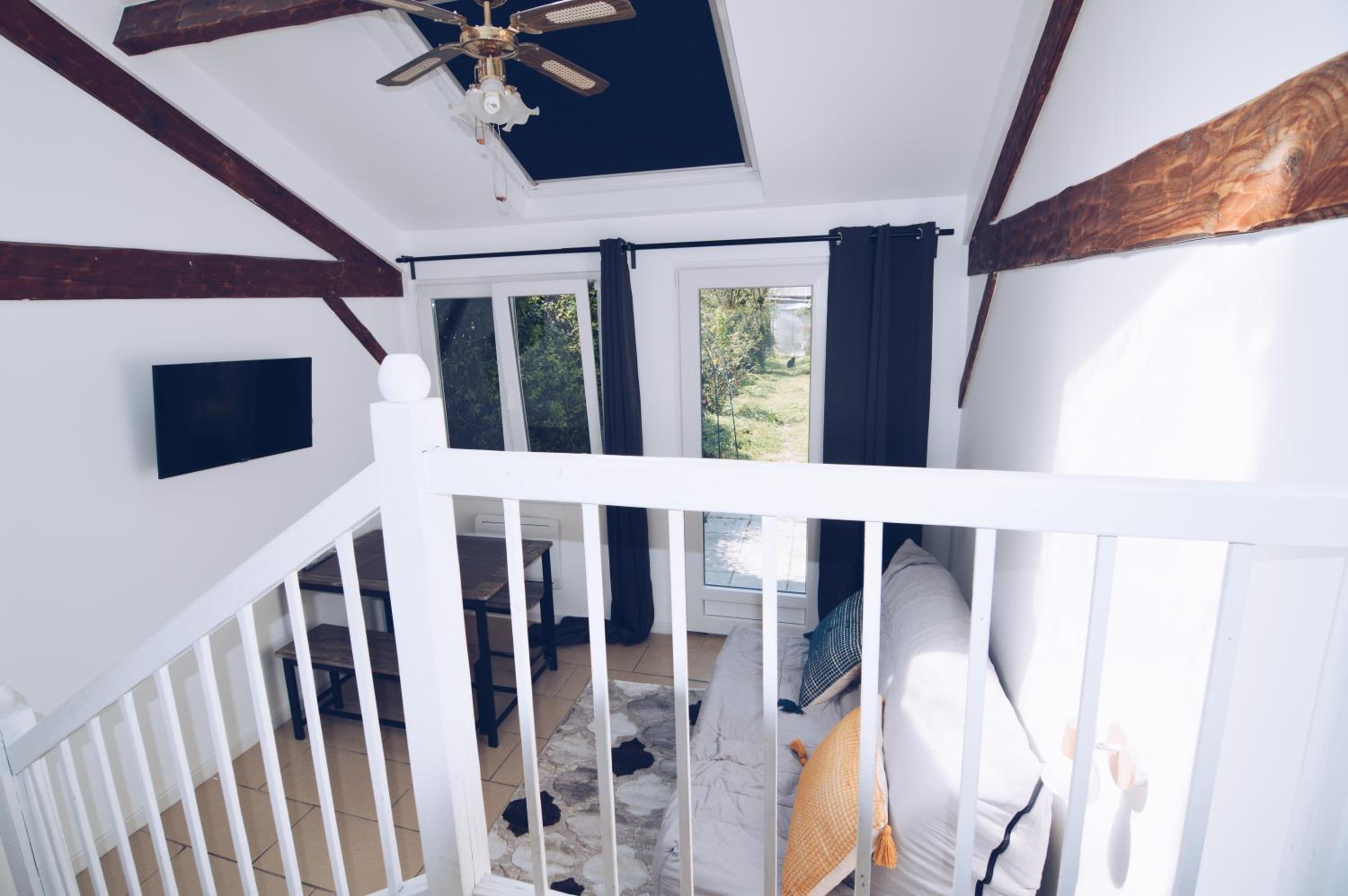 Studio with Terrace photo 1