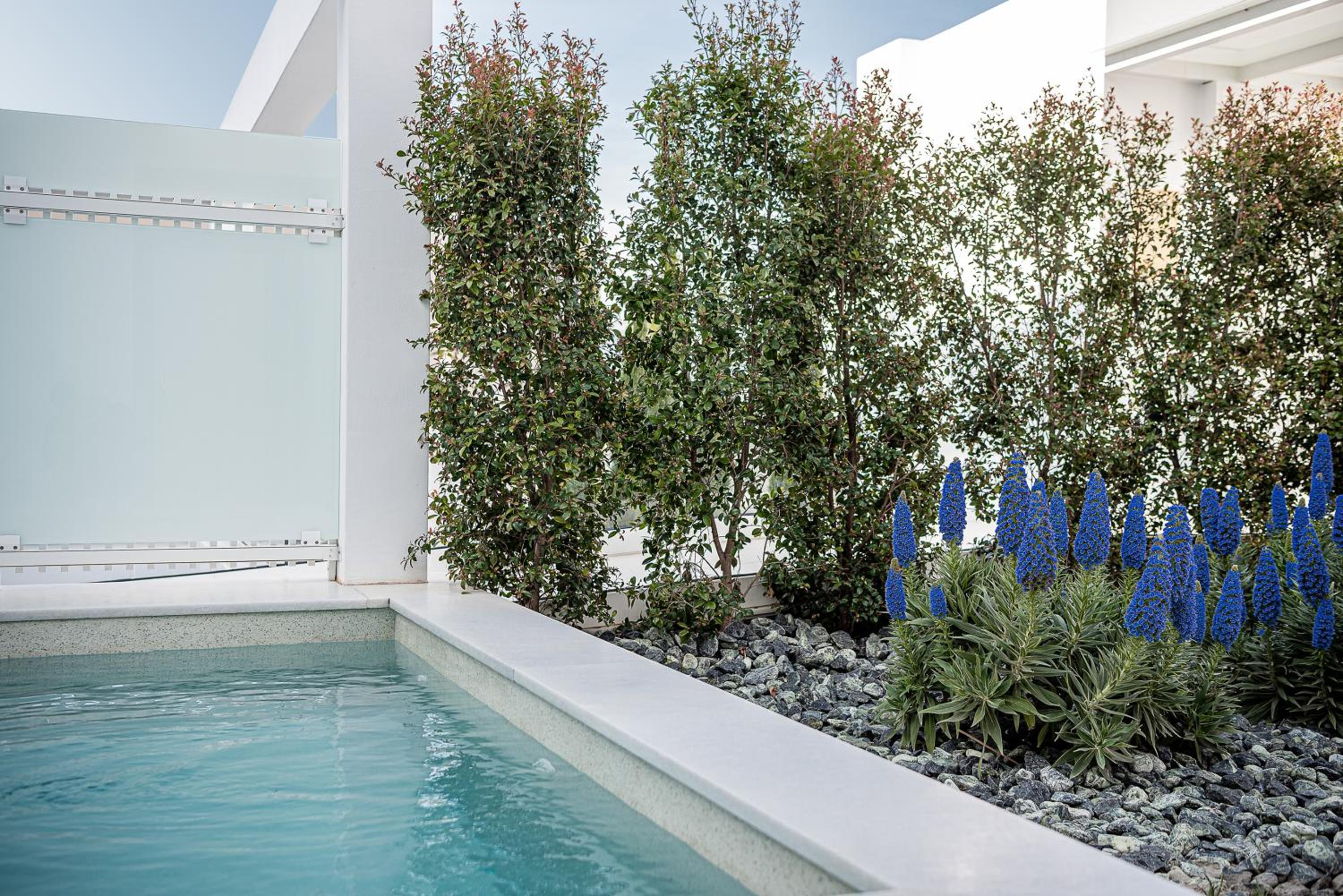 Double Room with Garden View and Private Pool thumbnail 6