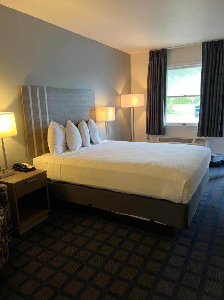 Queen Room - Disability Access photo 1
