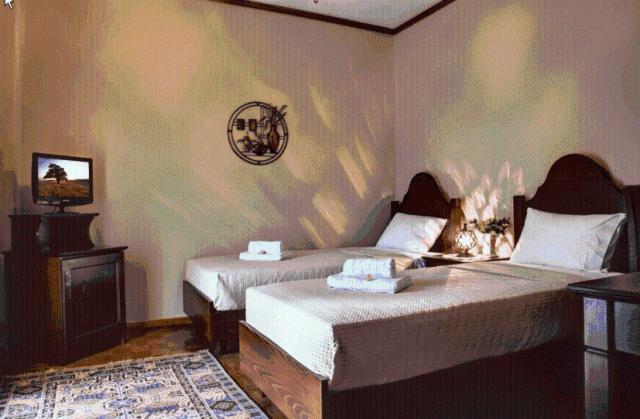 Double or Twin Room photo 3