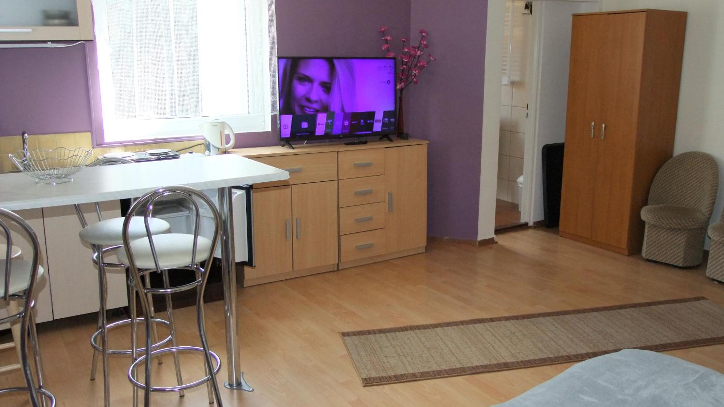 Studio with Sofa Bed photo 1