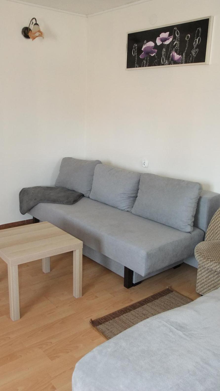 Studio with Sofa Bed photo 2
