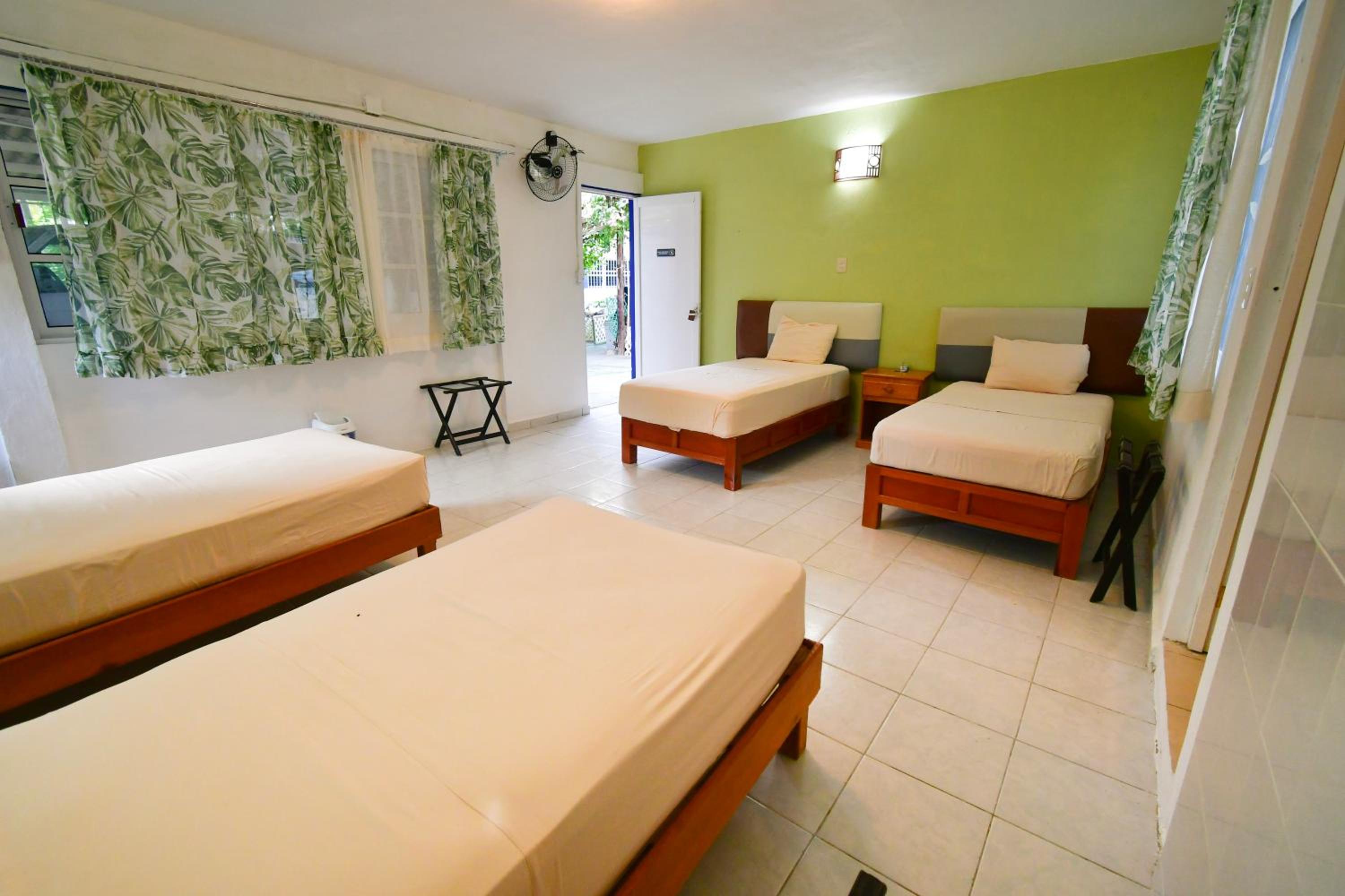 Single Bed in 4-Bed Dormitory Room photo 1