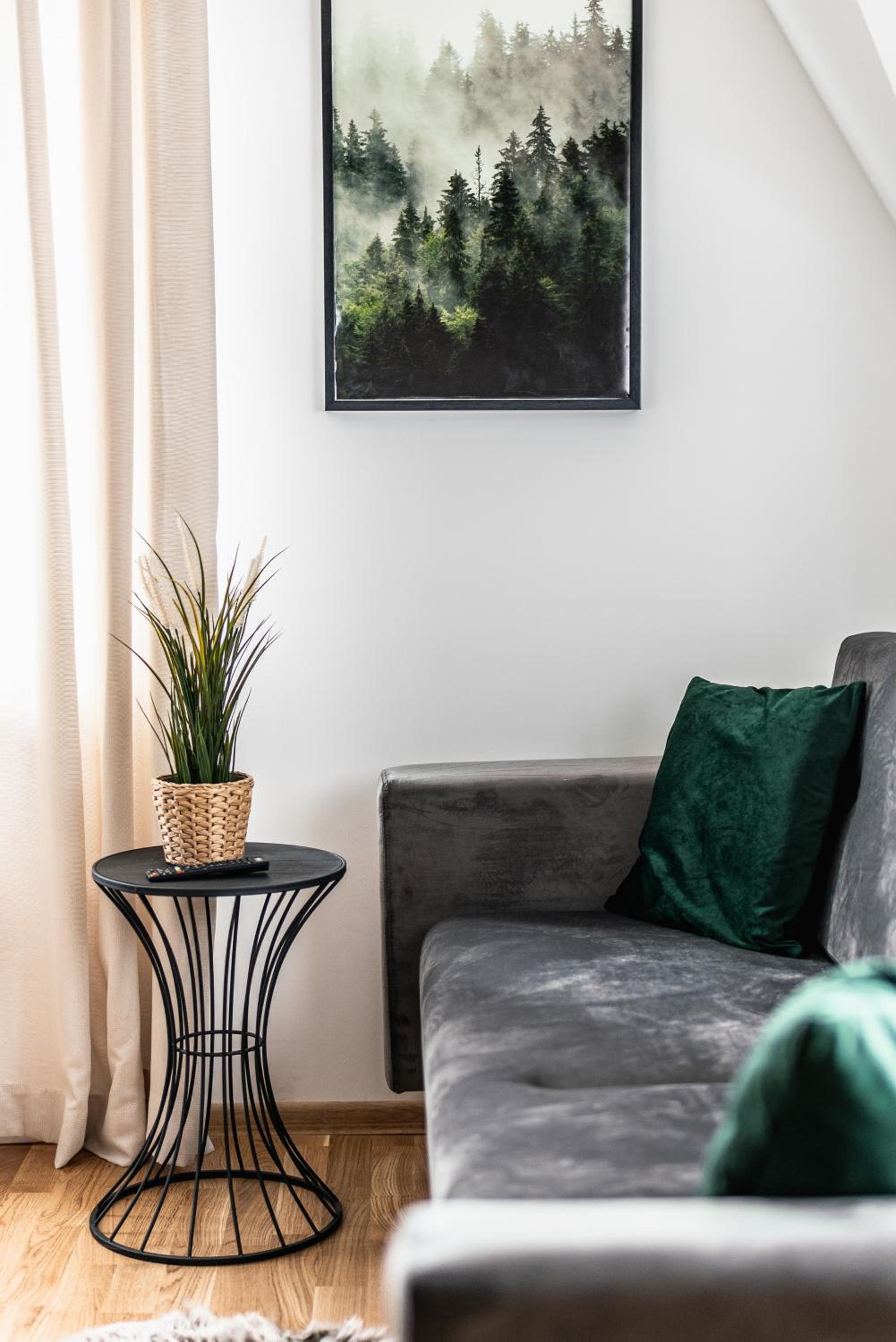 One-Bedroom Apartment photo 2