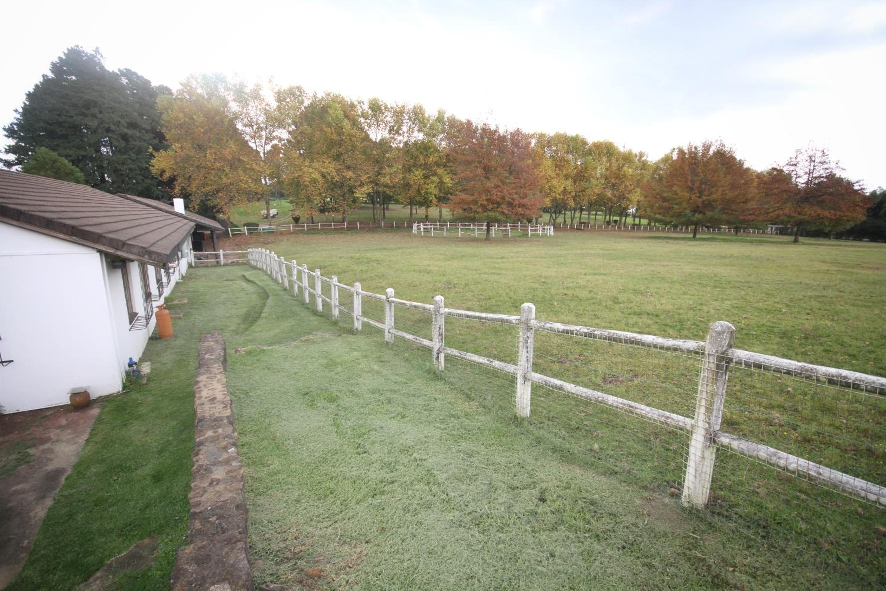 Standard Cottage - Photo 46