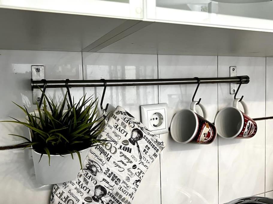 Apartment - Photo 9