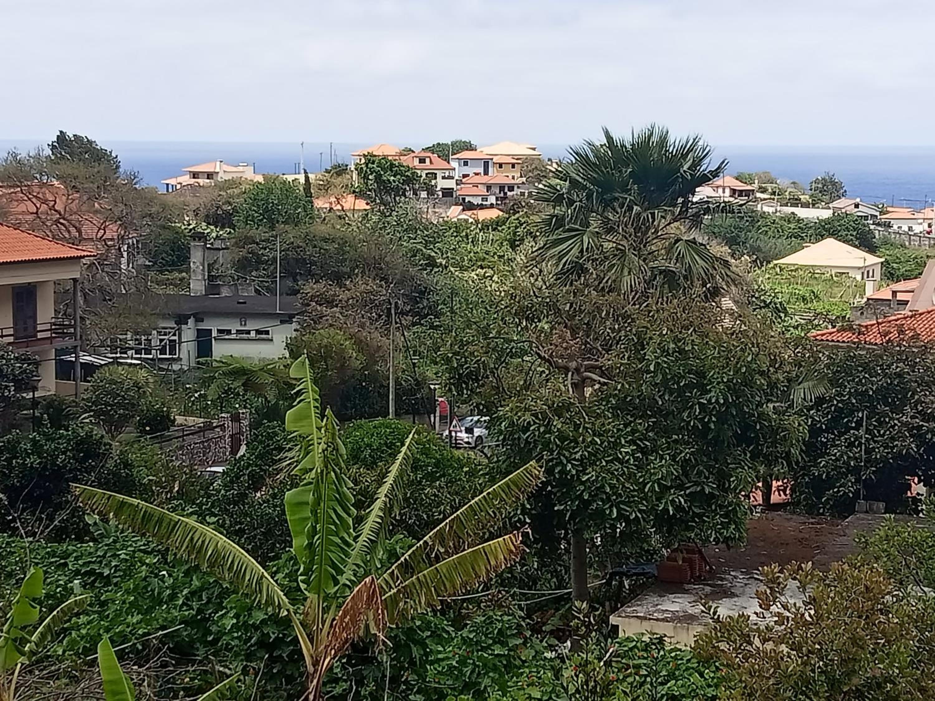 Apartment with Sea View - Photo 4