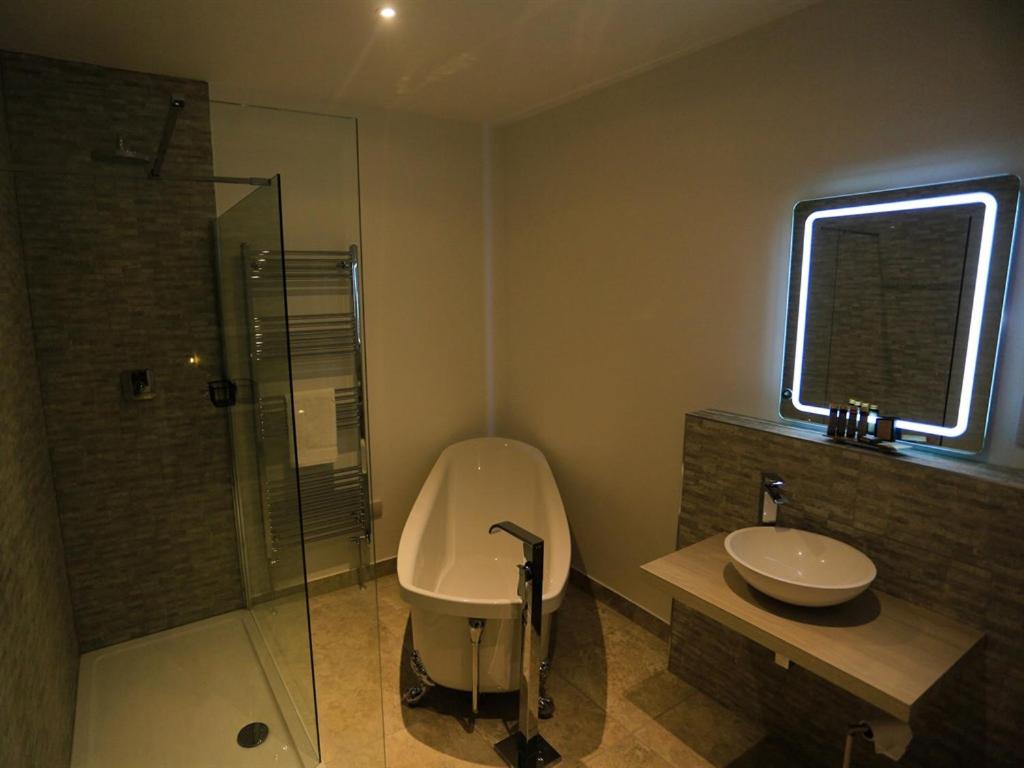 Deluxe Suite photo 3