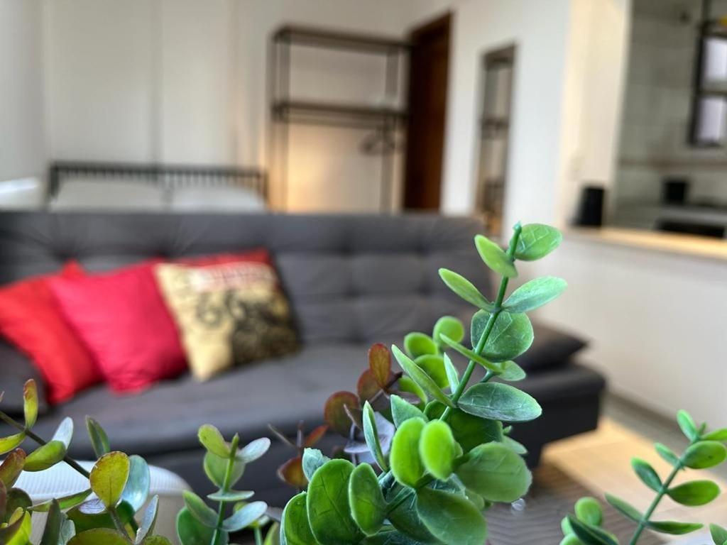 Apartment photo 1