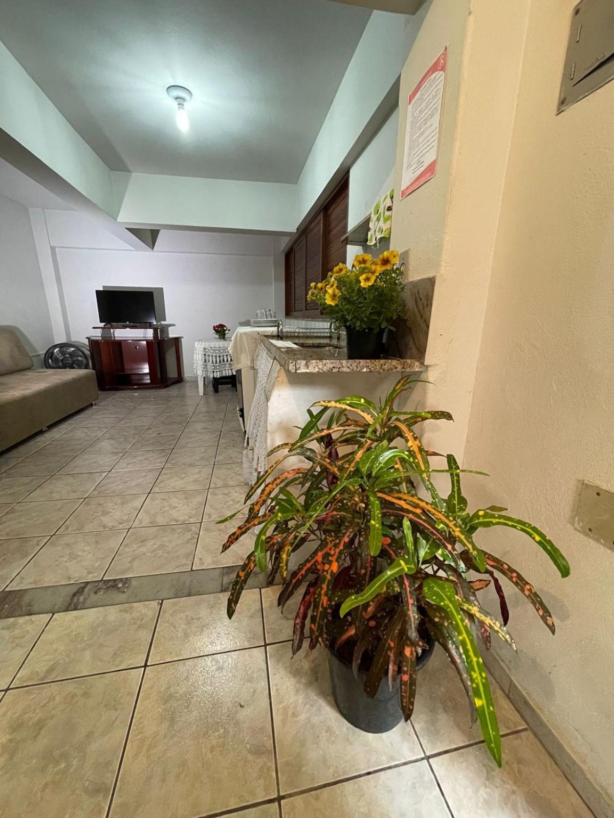 Apartment - Ground Floor - Photo 2