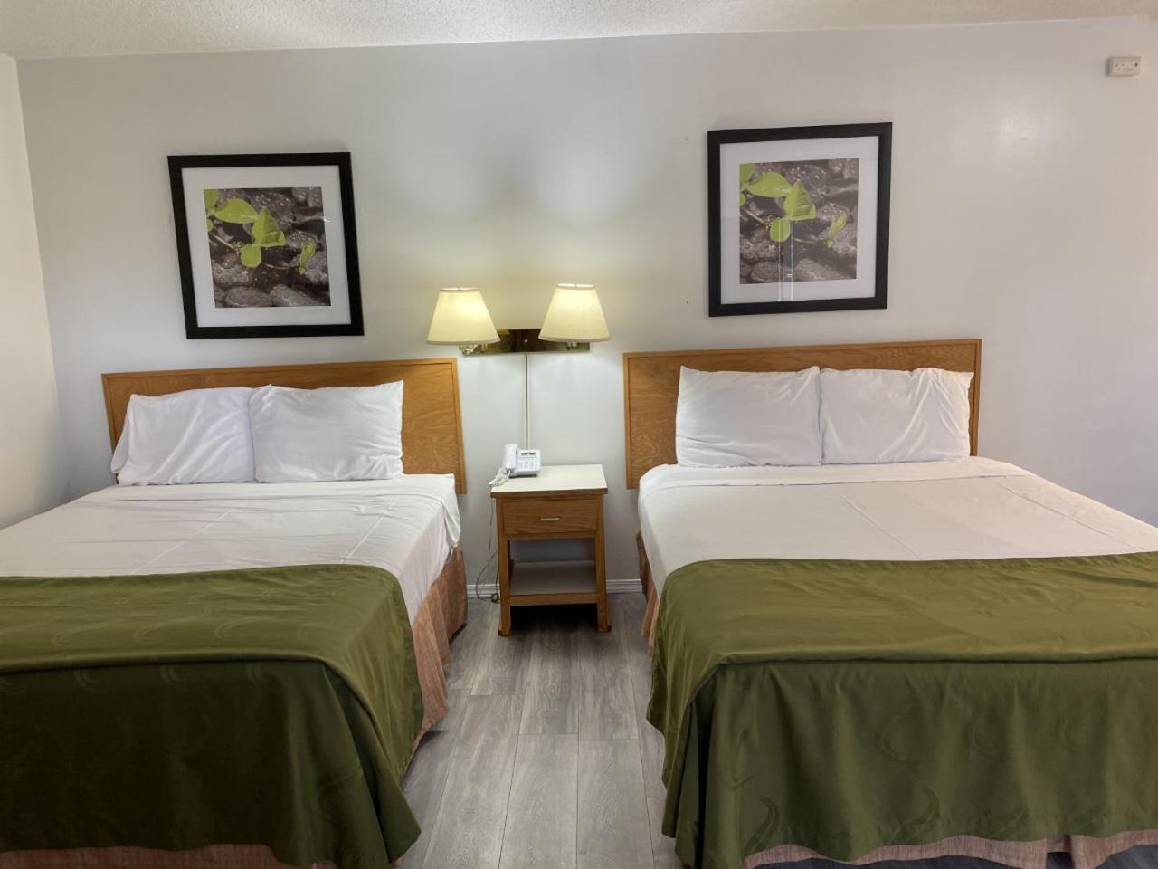 Standard Queen Room with Two Queen Beds photo 1