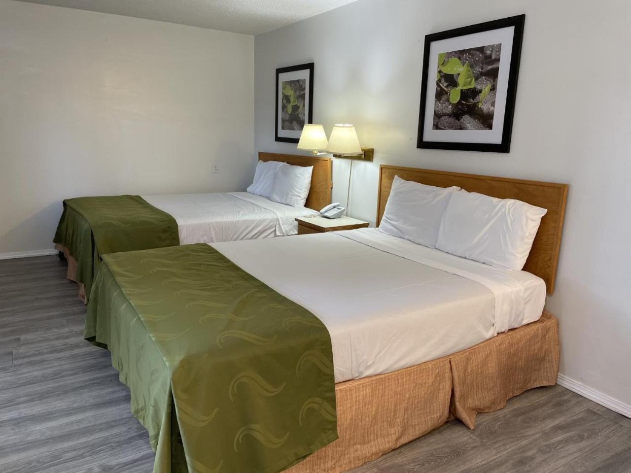 Standard Queen Room with Two Queen Beds photo 2