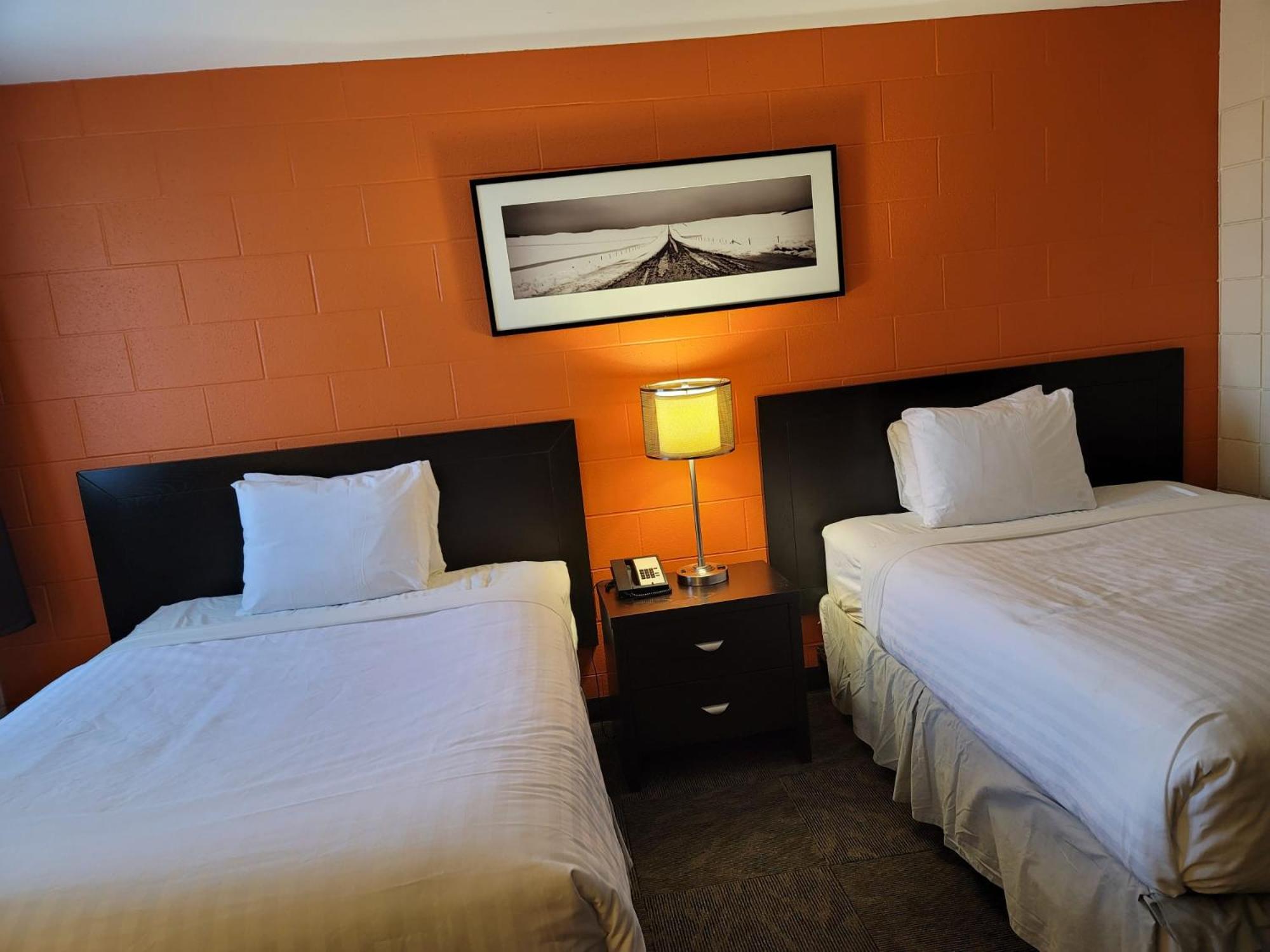 Standard Quadruple Room - Non Pet Friendly - Photo 3