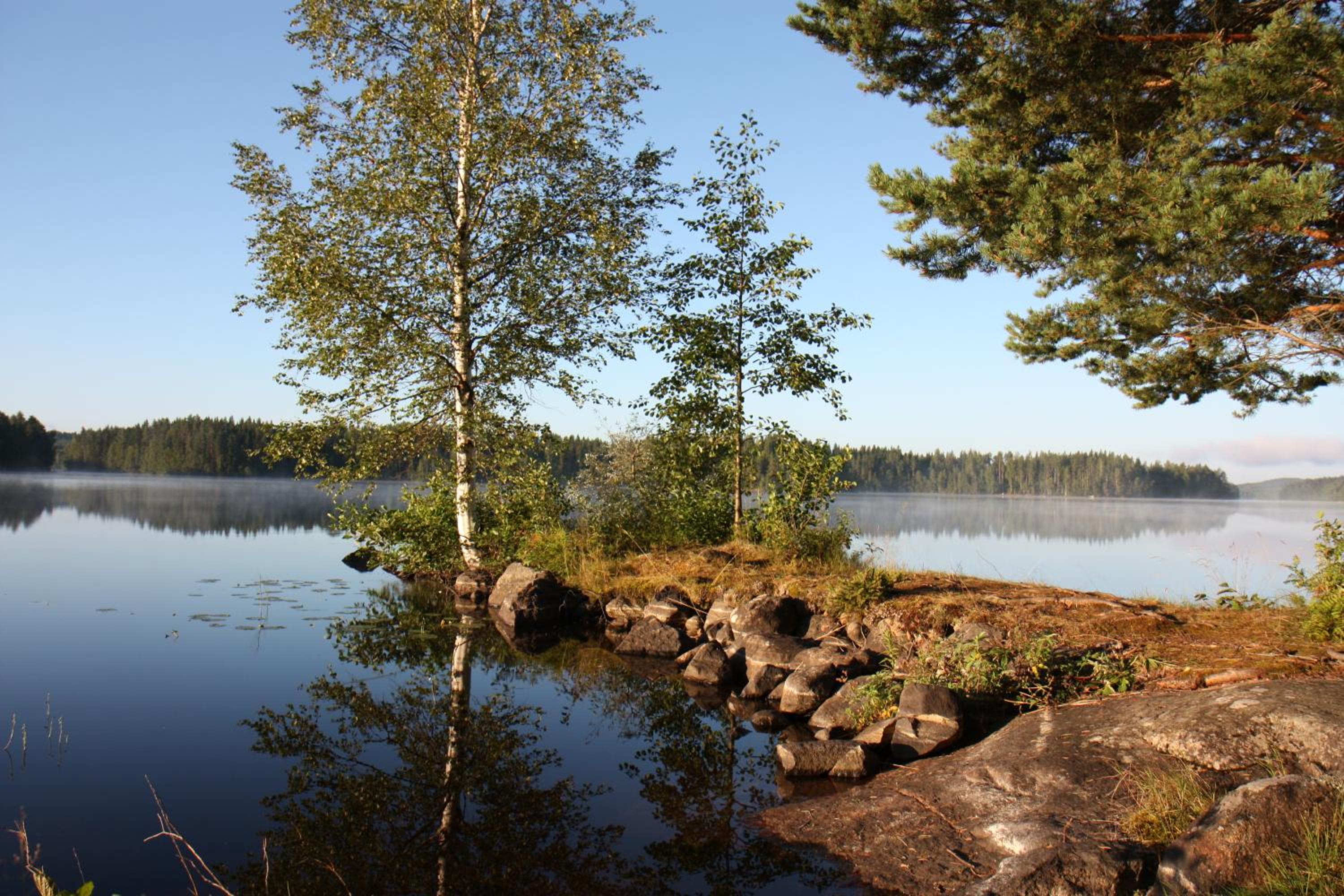 Economy Cottage (3 Adults) - Photo 7
