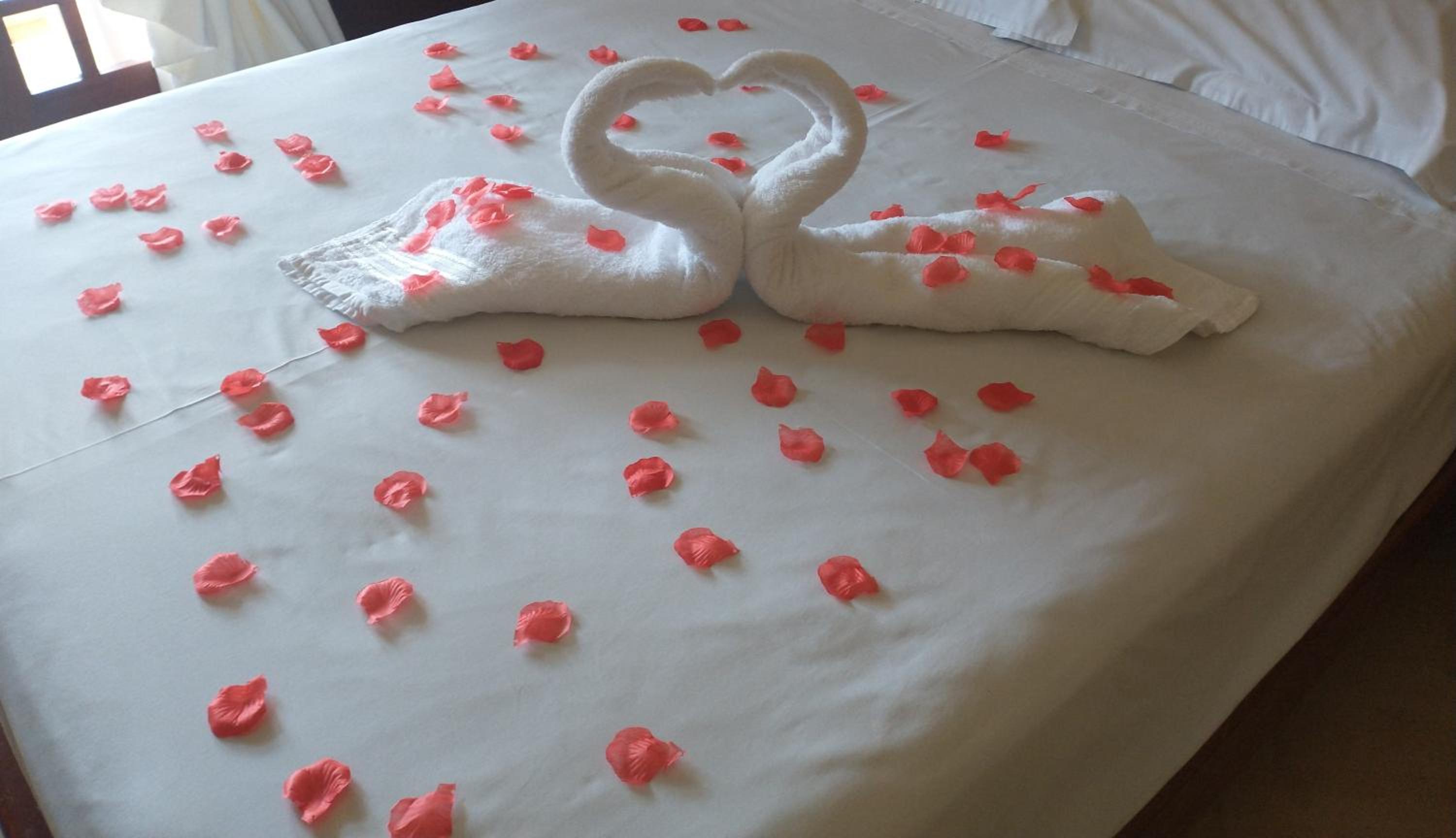 Deluxe Suite with Spa Bath photo 2