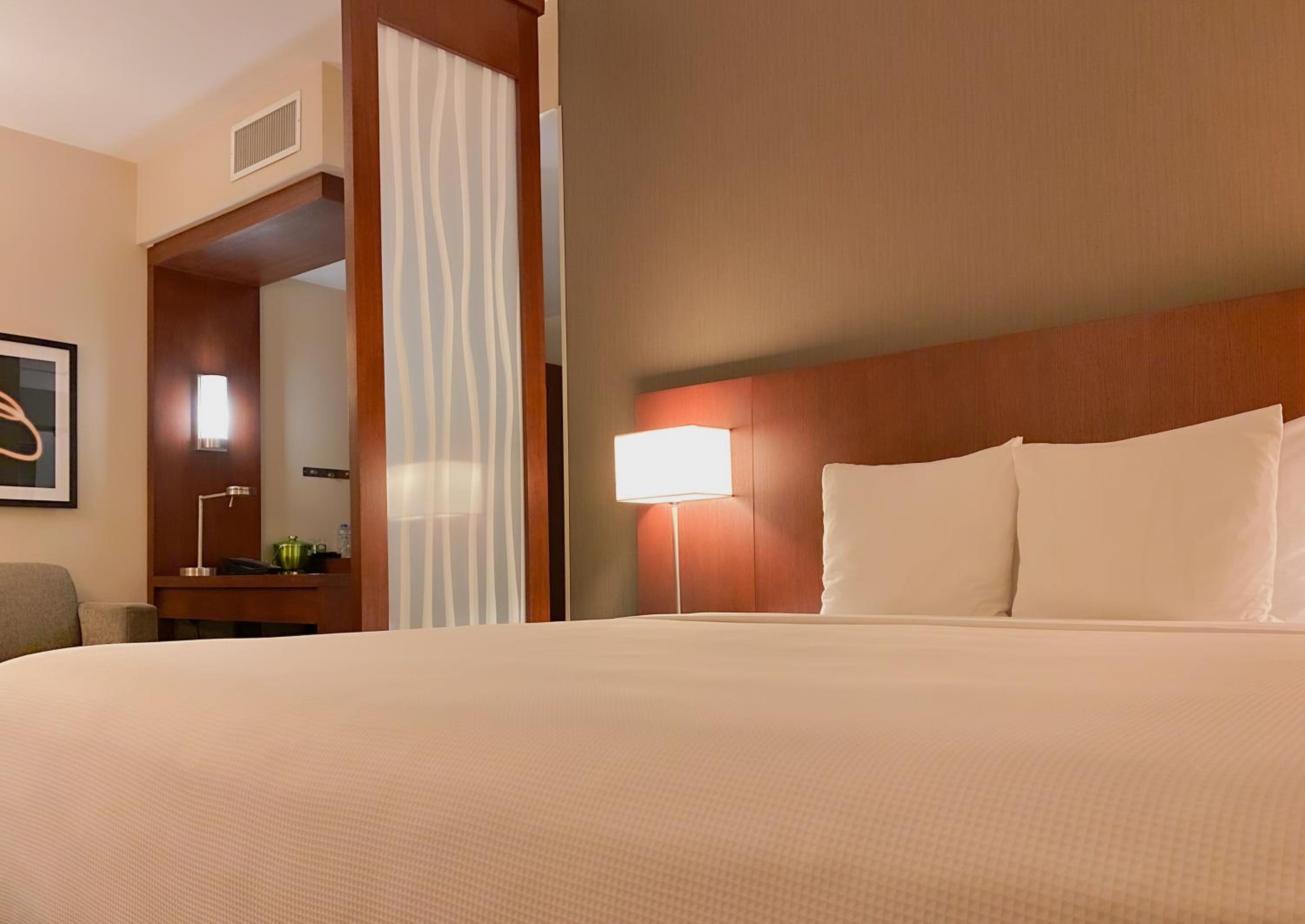 Large King Room with Sofa Bed - Photo 3