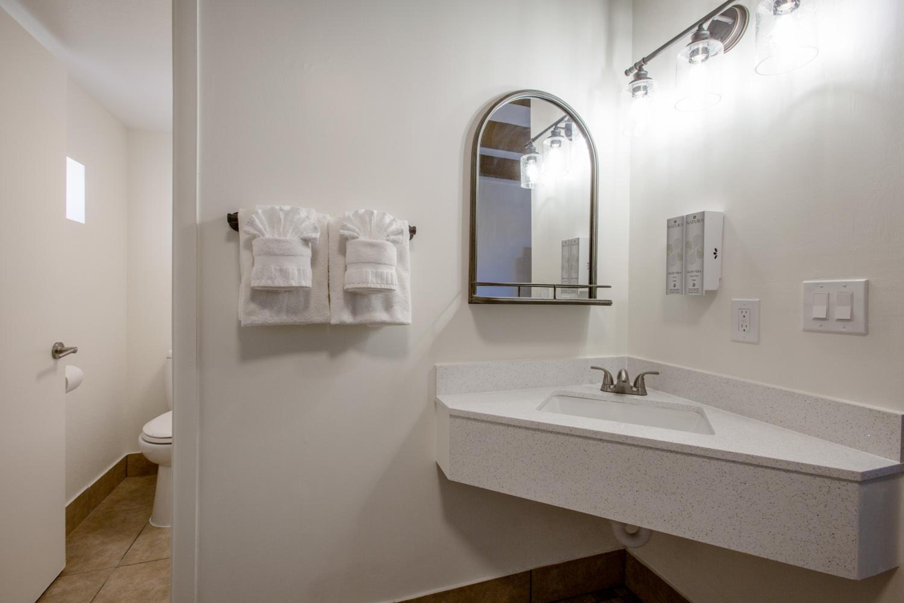 Accessible Queen Oasis - Photo 7
