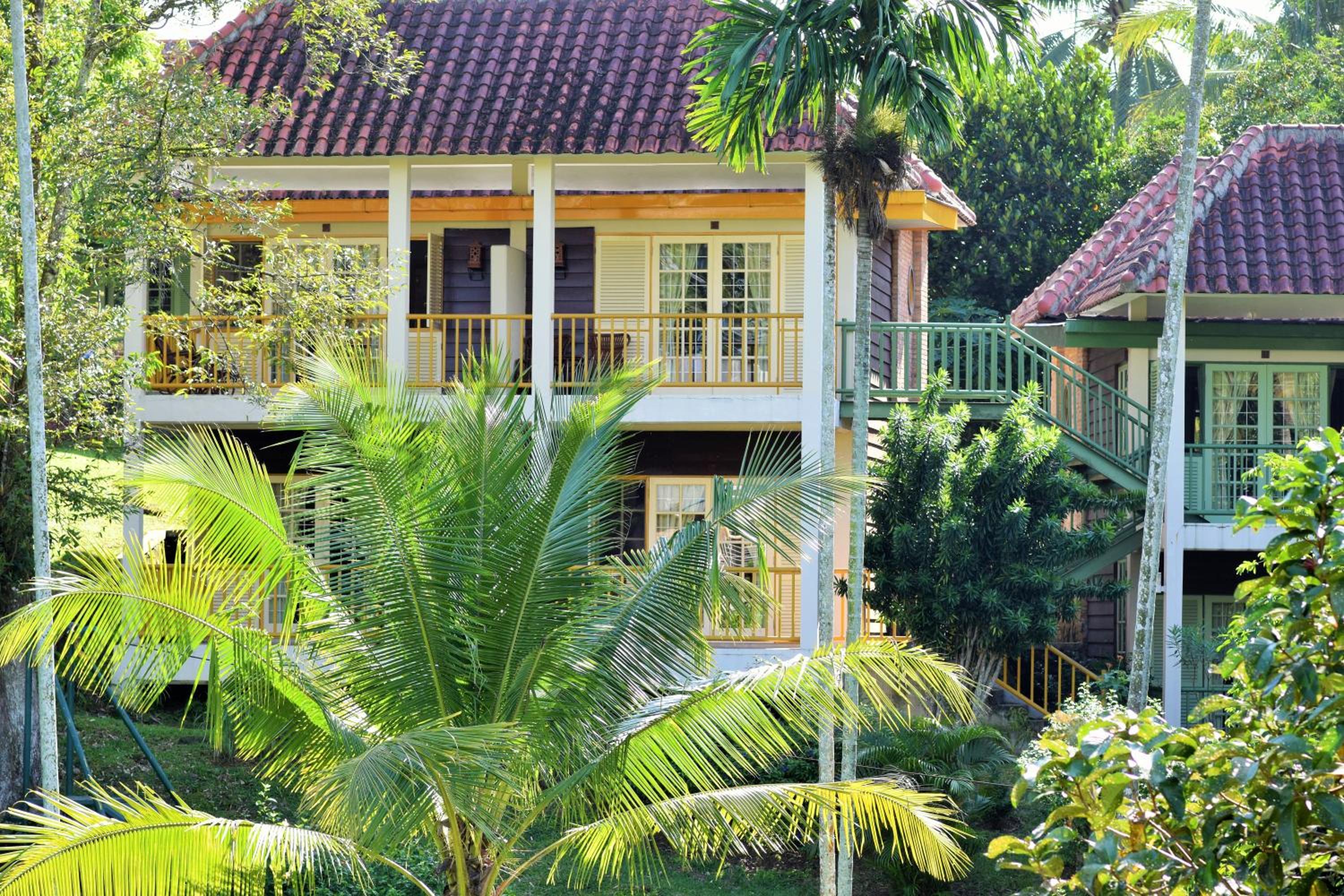 Deluxe Cottage photo 3