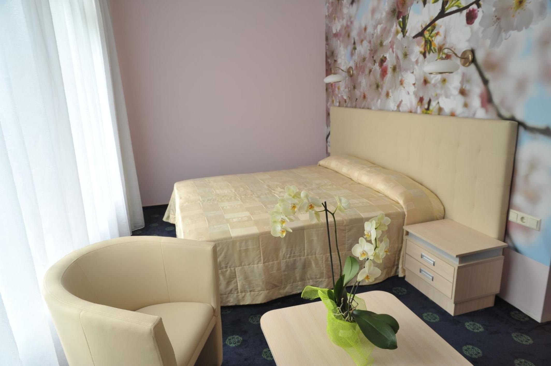 Double or Twin Room with balcony and Treatment Package "Individual"