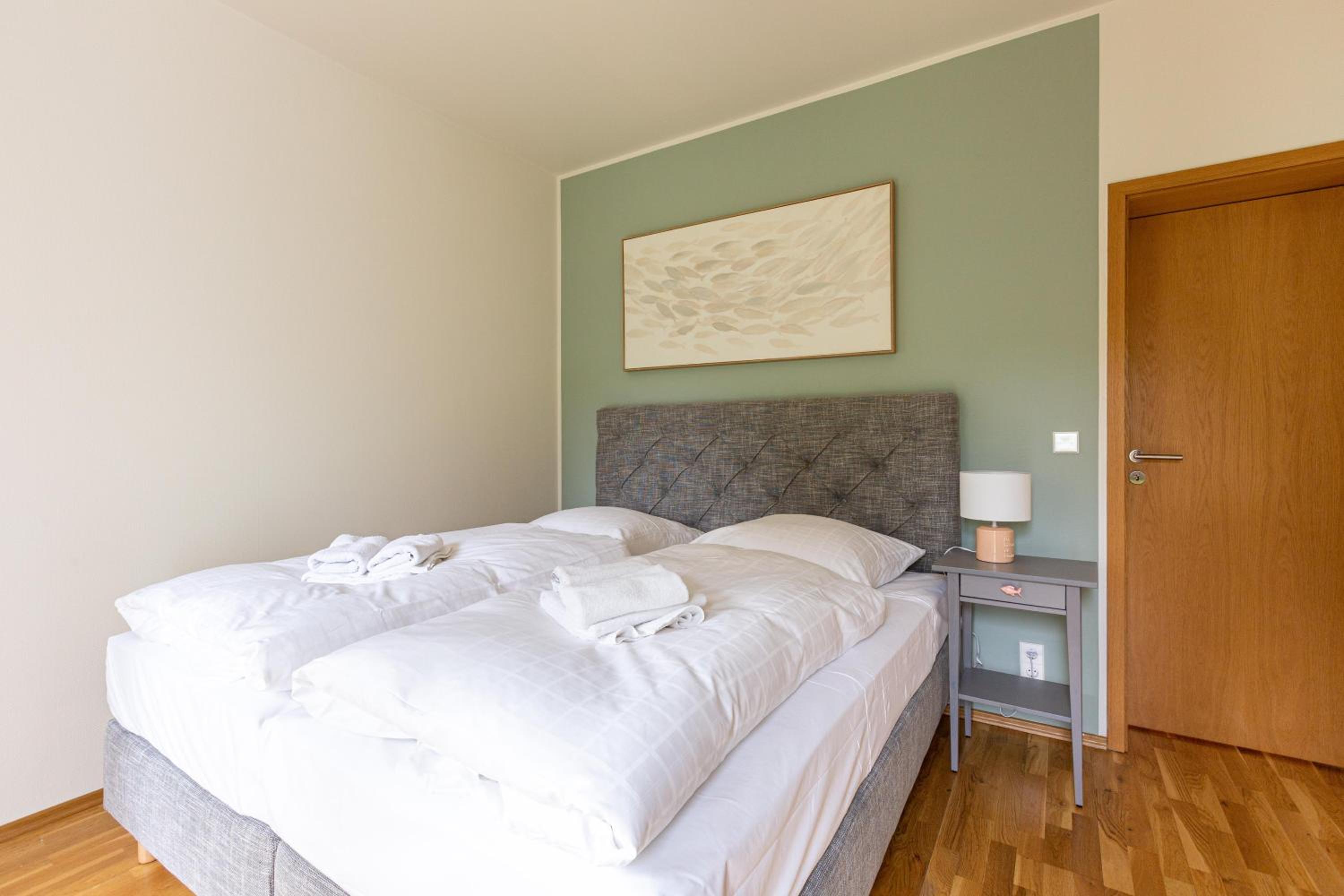 Apartment with Terrace photo 3
