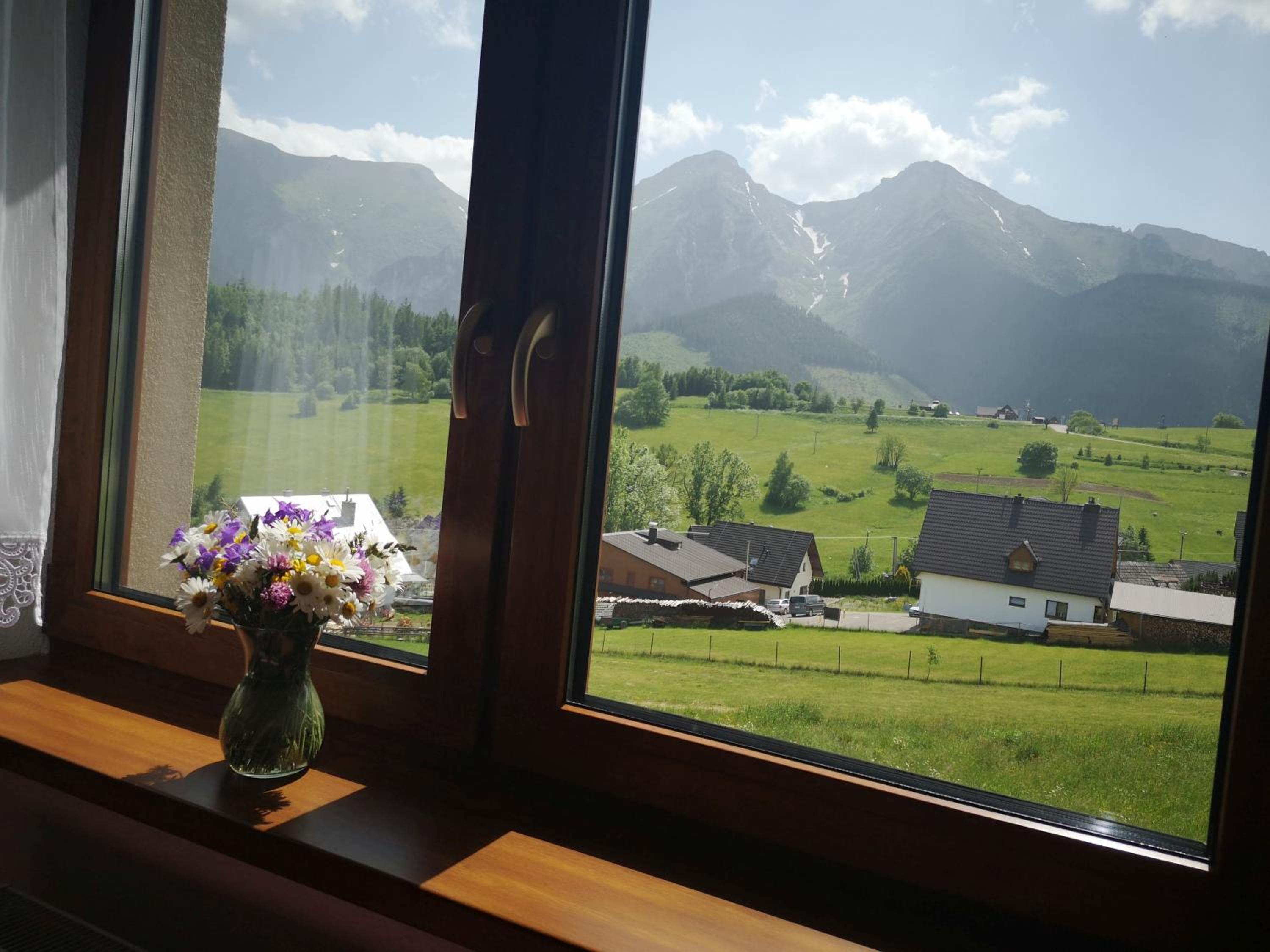 Double Room with Mountain View photo 2