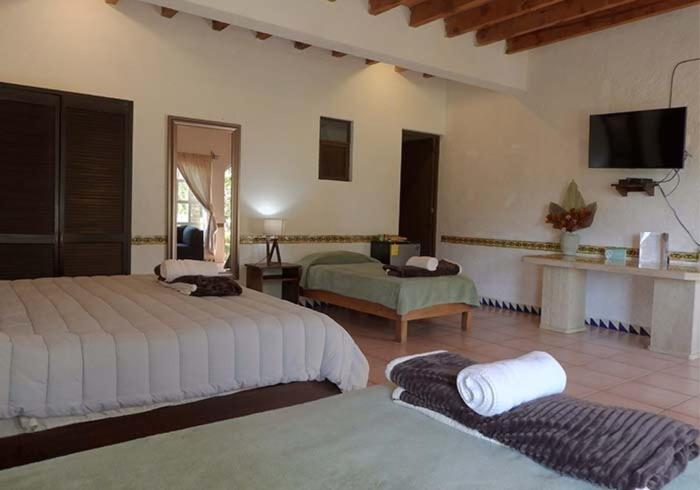 Quadruple Room with Garden View photo 1