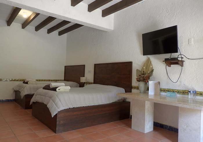 Quadruple Room with Garden View photo 2