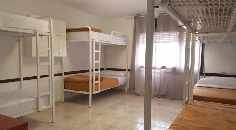 Cama individual en habitación compartida de 6 camas.