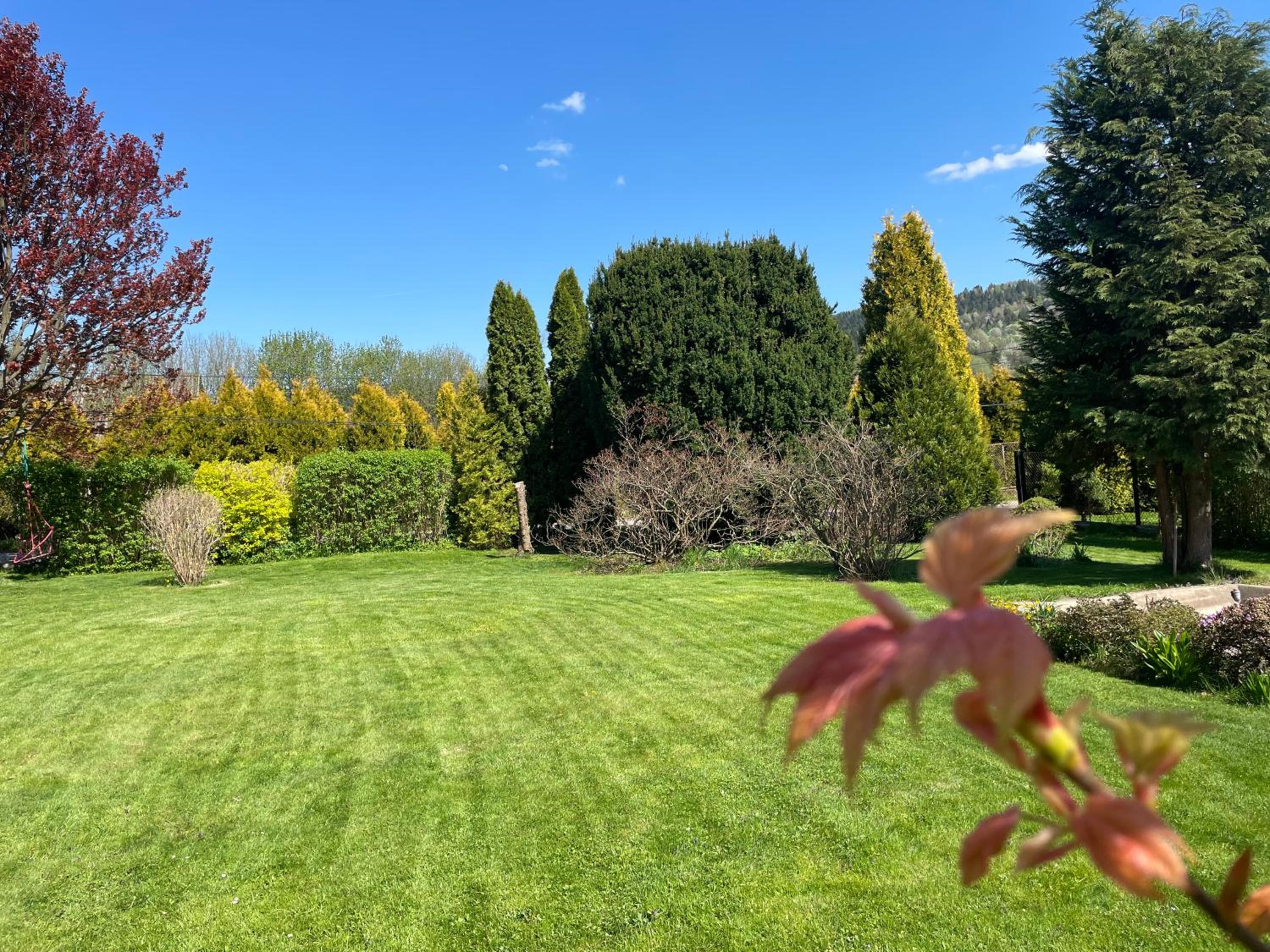 Apartment - Ground Floor - Photo 3