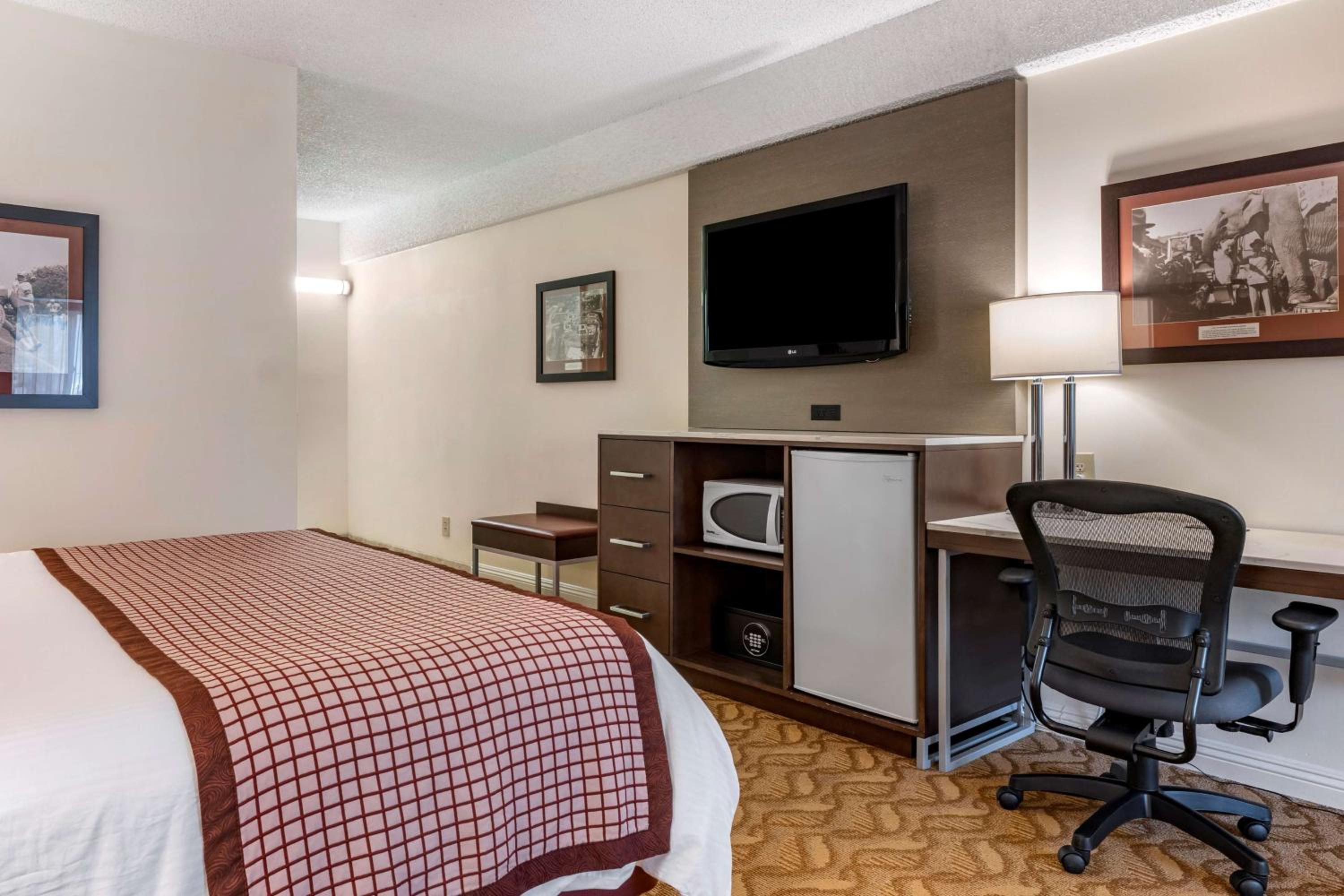 Larger King Room with Roll-In Shower and Sofa Bed - Disability Access/Non-Smoking - Photo 3