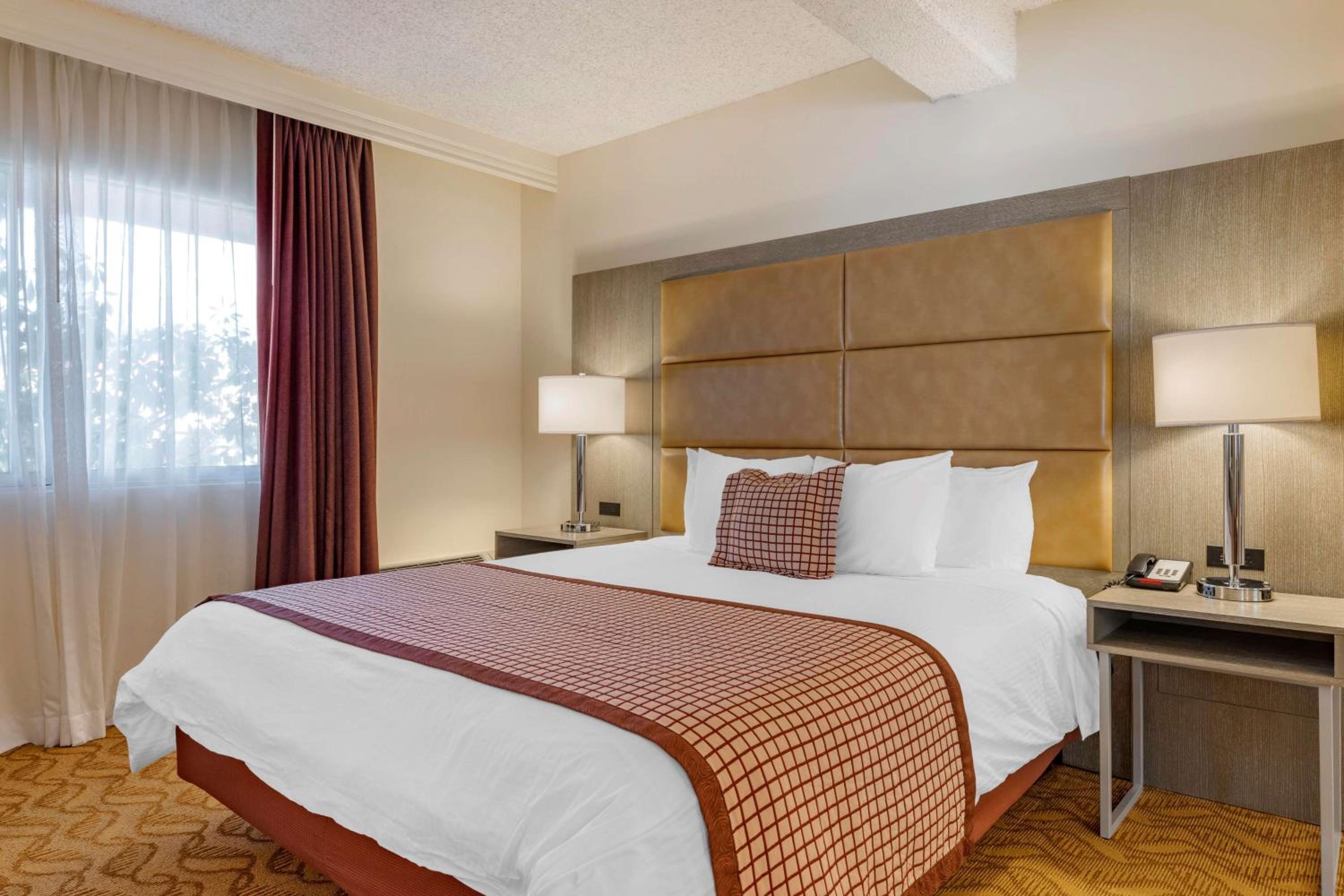 King Suite with Sofa Bed and Patio - Ground Floor/Non-Smoking - Photo 4