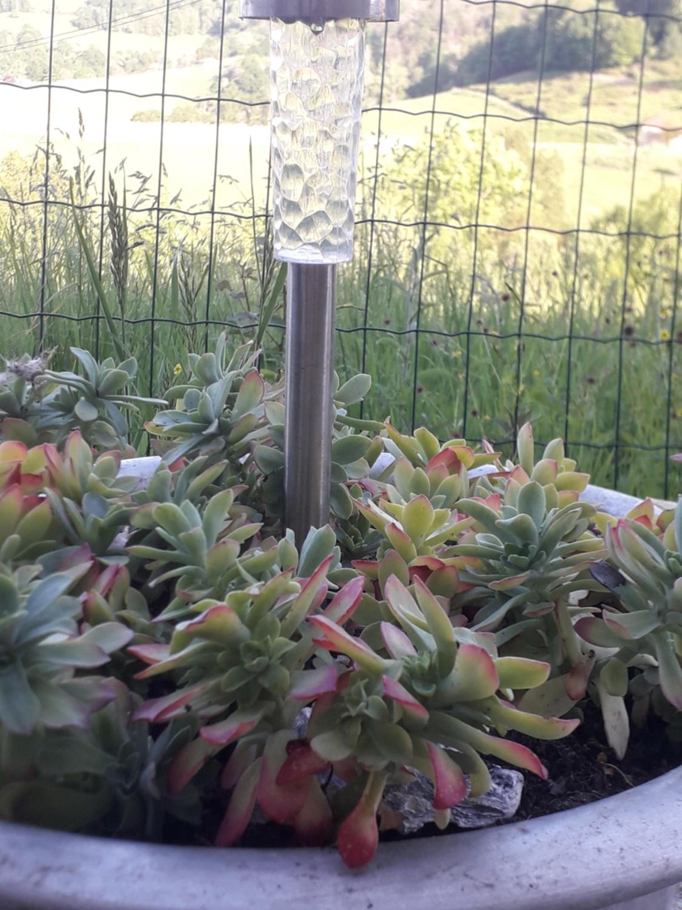 Vacation Home - Photo 29