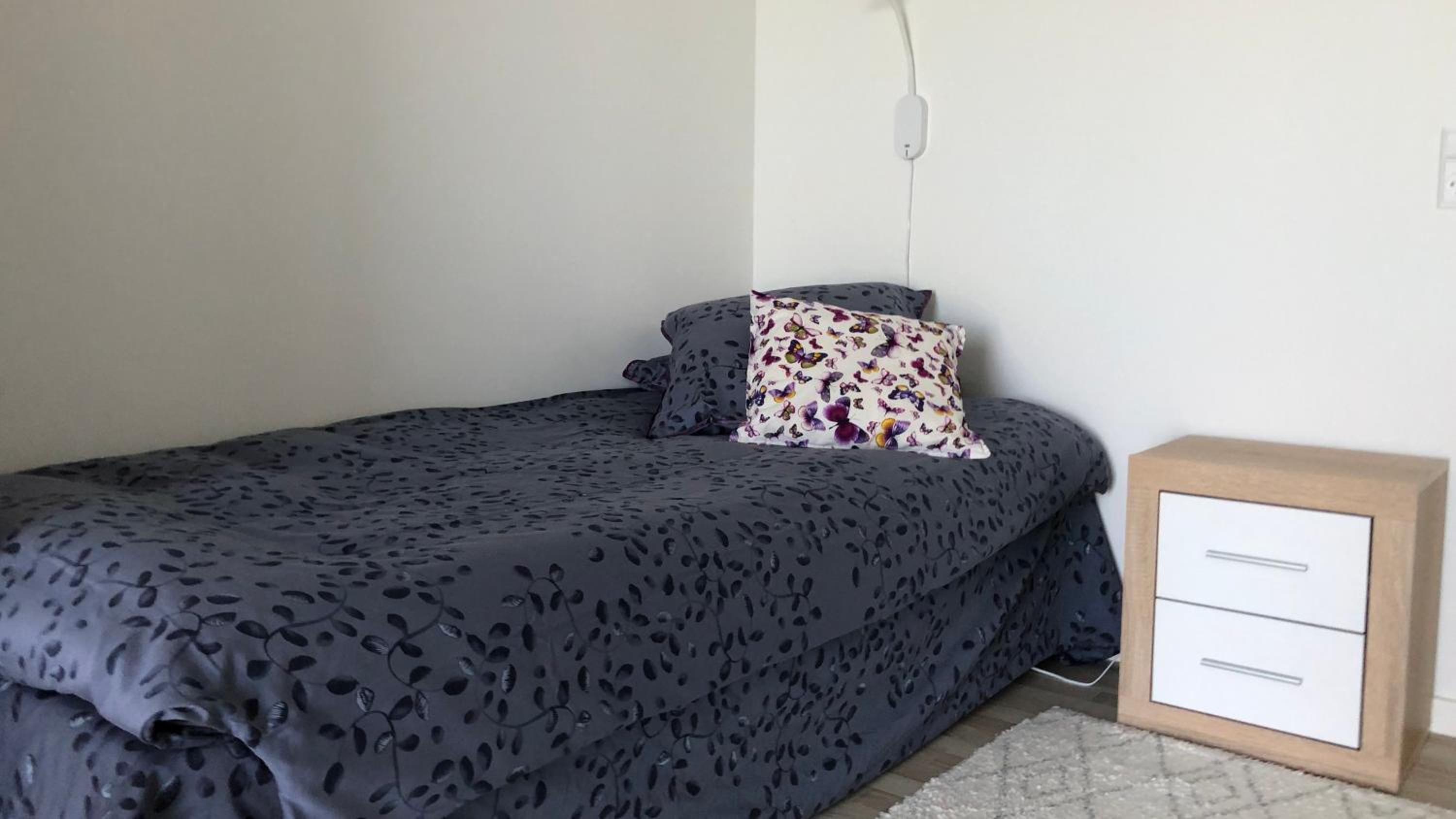 Single Room with Terrace photo 1