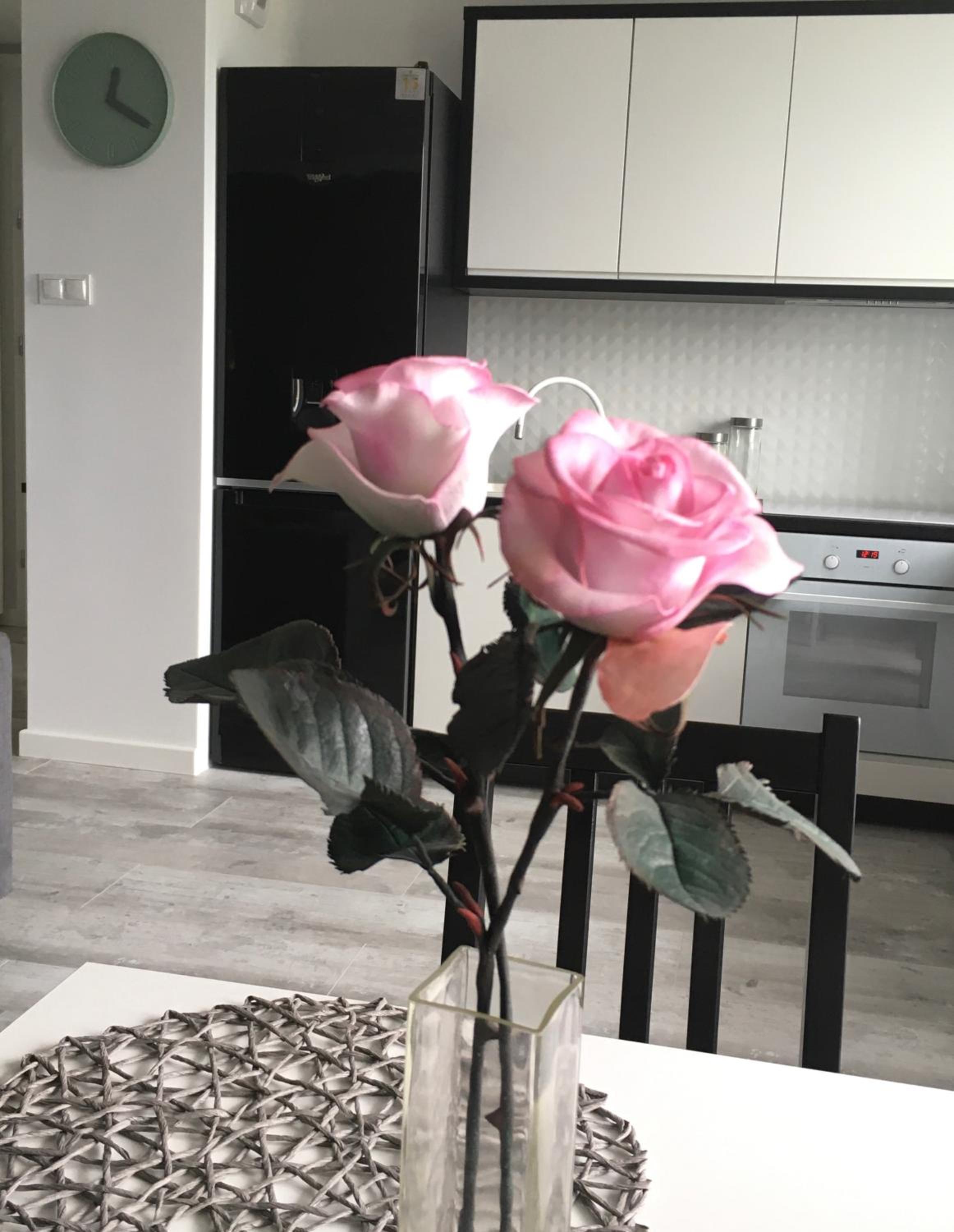 One-Bedroom Apartment - Photo 28