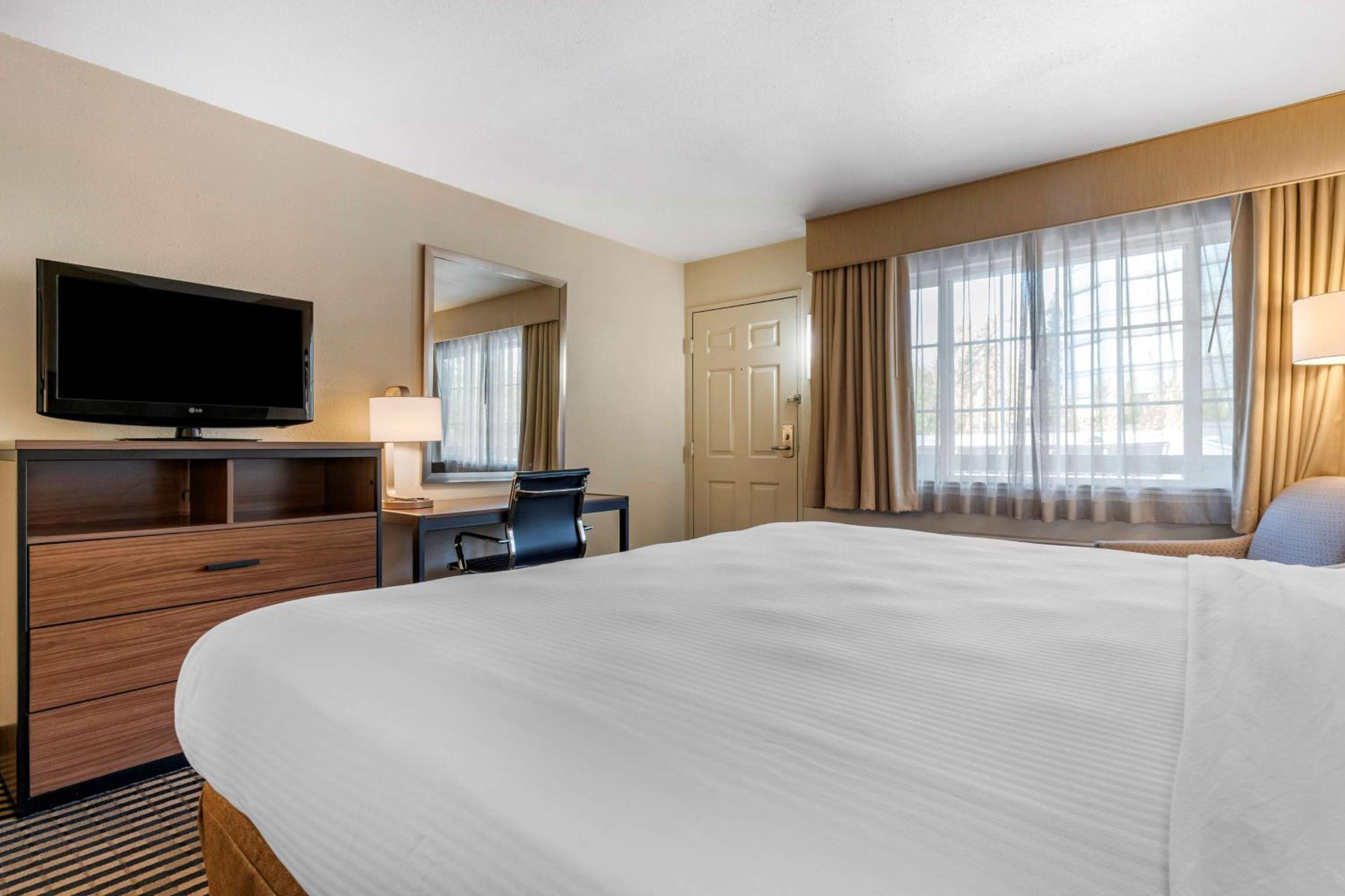 King Room - Non-Smoking - Photo 4