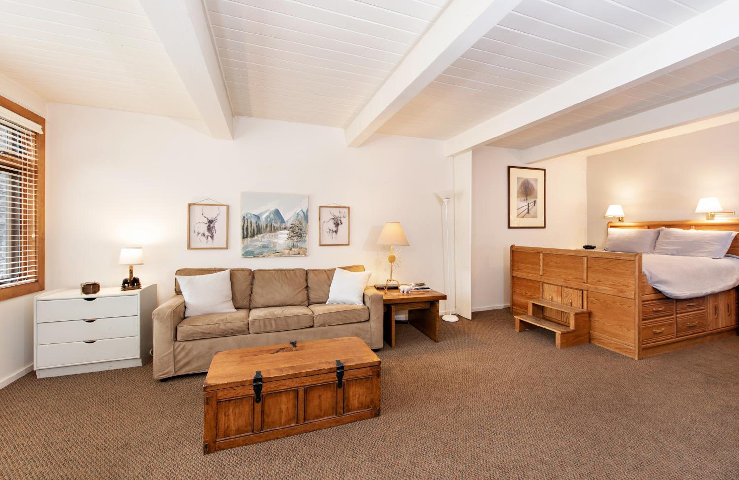 Studio Apartment photo 1