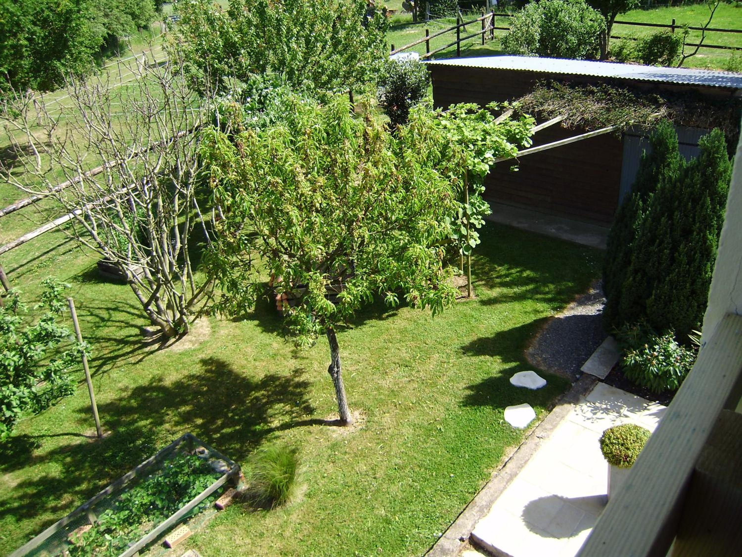 Queen Room with Garden View photo 3