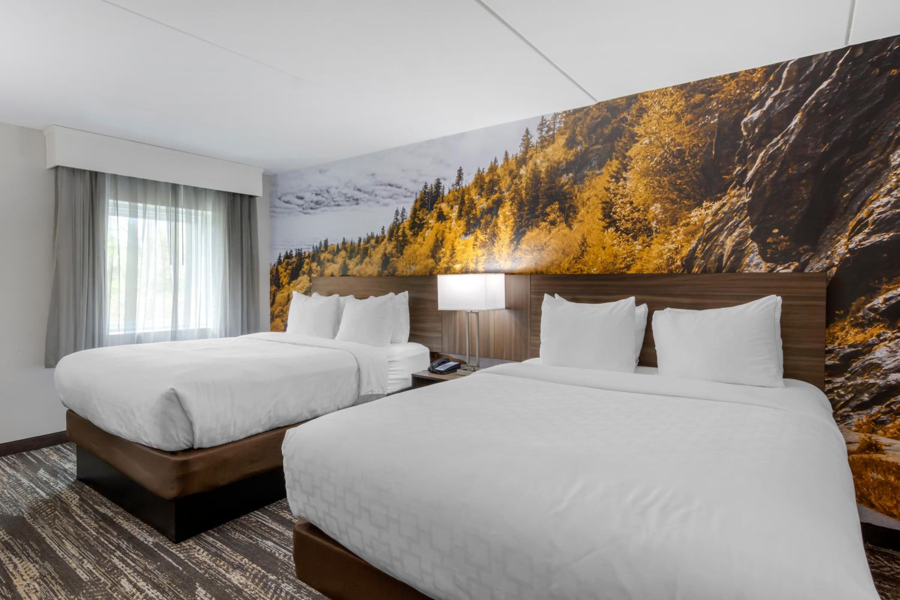 Standard Queen Room with Two Queen Beds - Non Smoking  - Photo 3