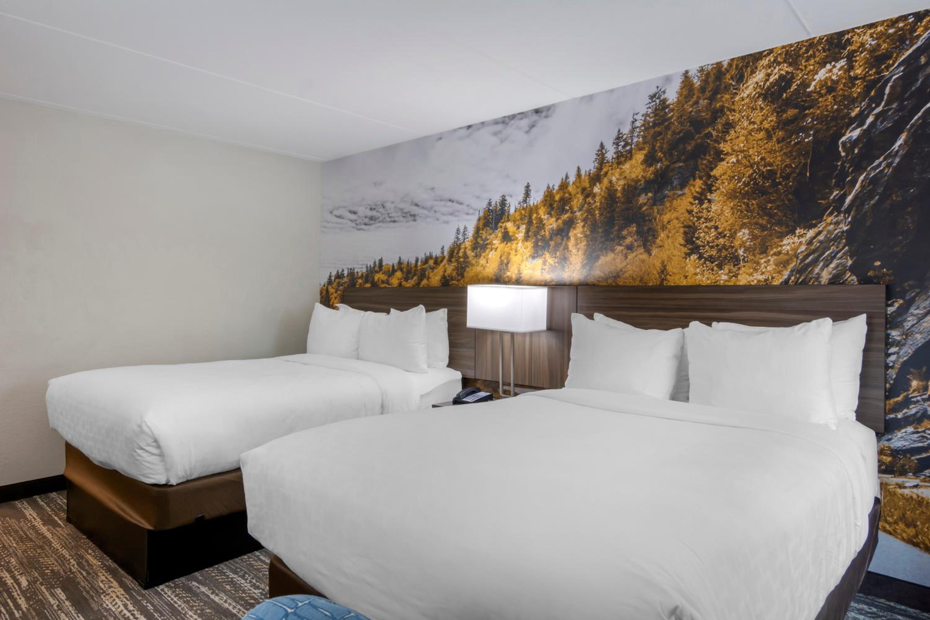 Standard Double Room with Two Double Beds - Non Smoking - Photo 3