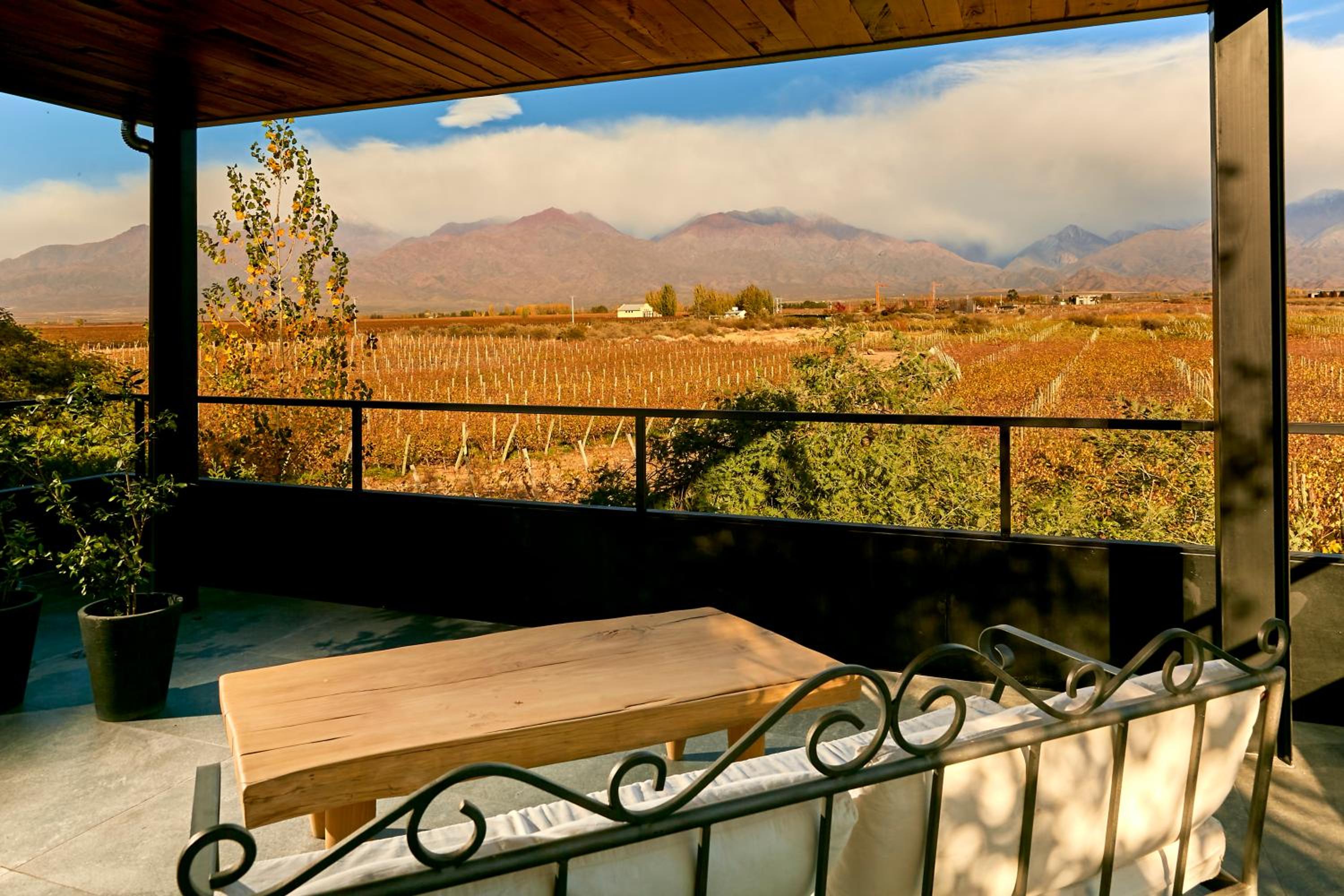 Suite with Mountain View photo 3